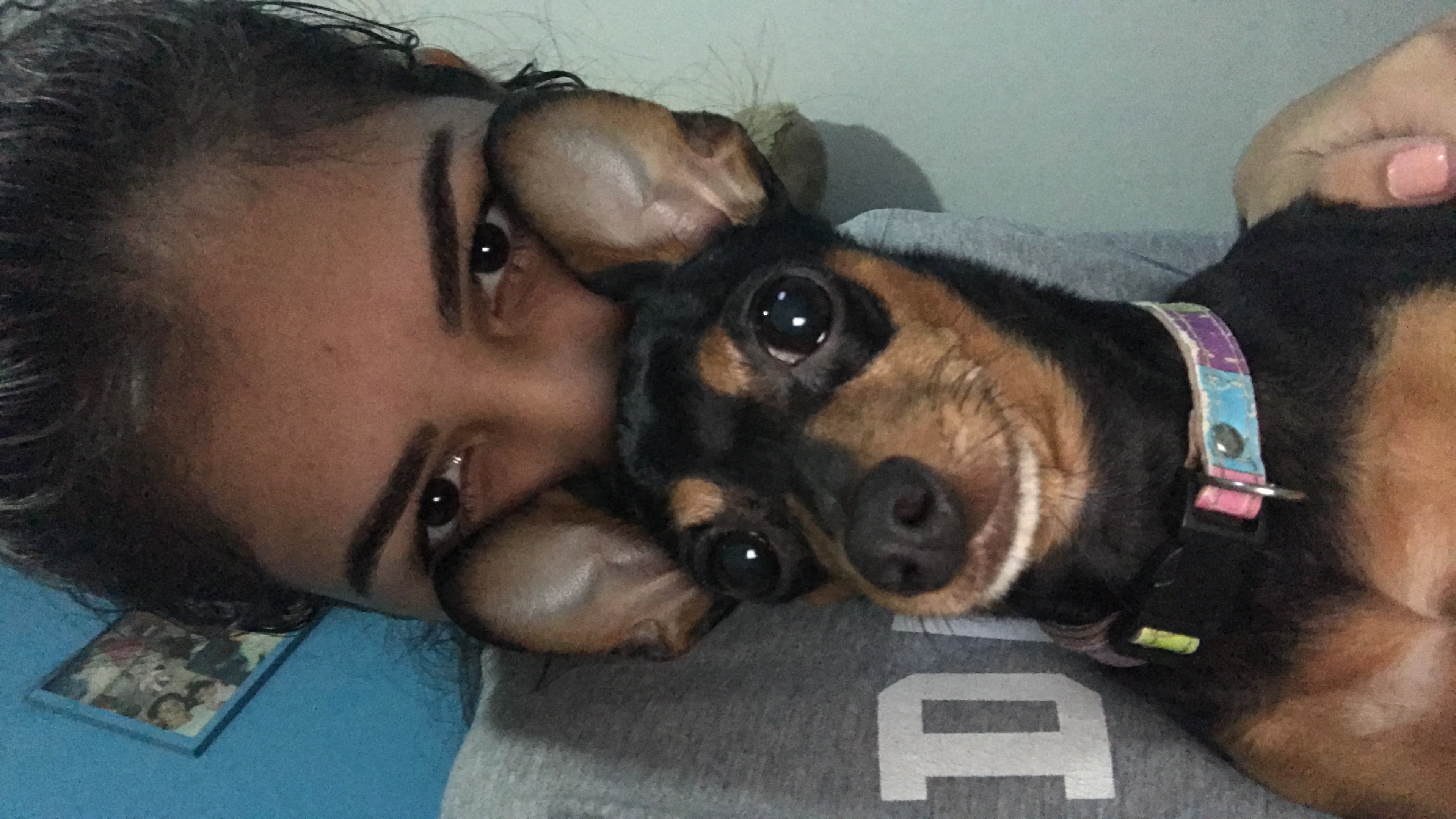 image-8
