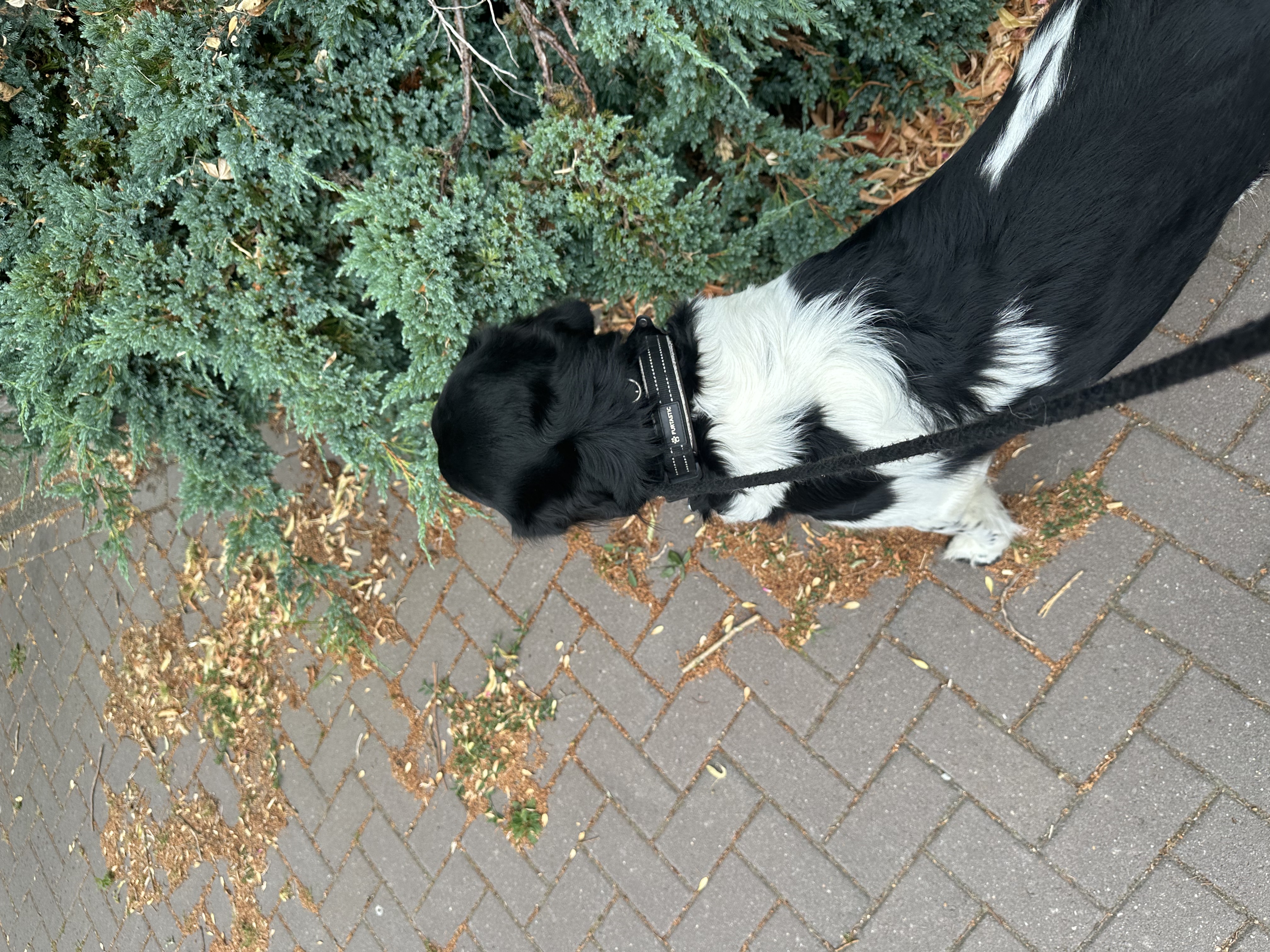 image-5