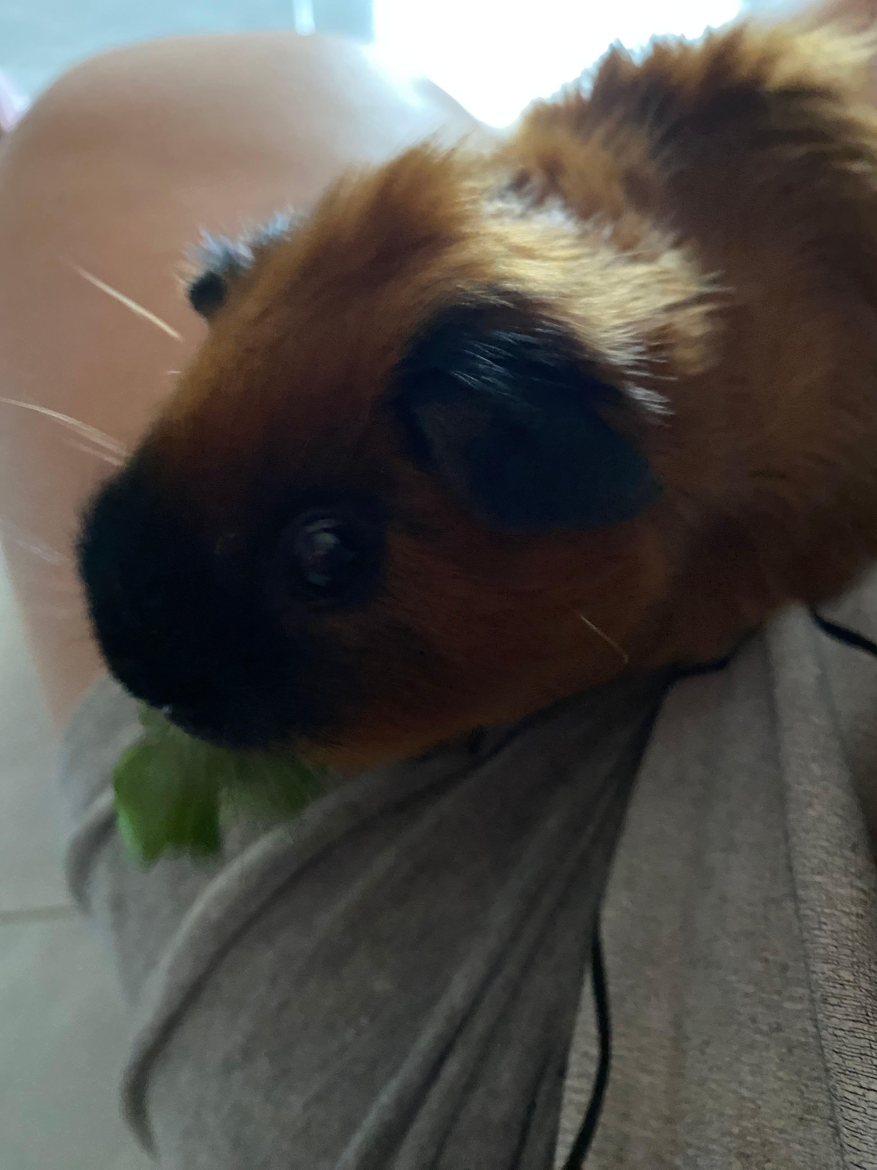 image-6