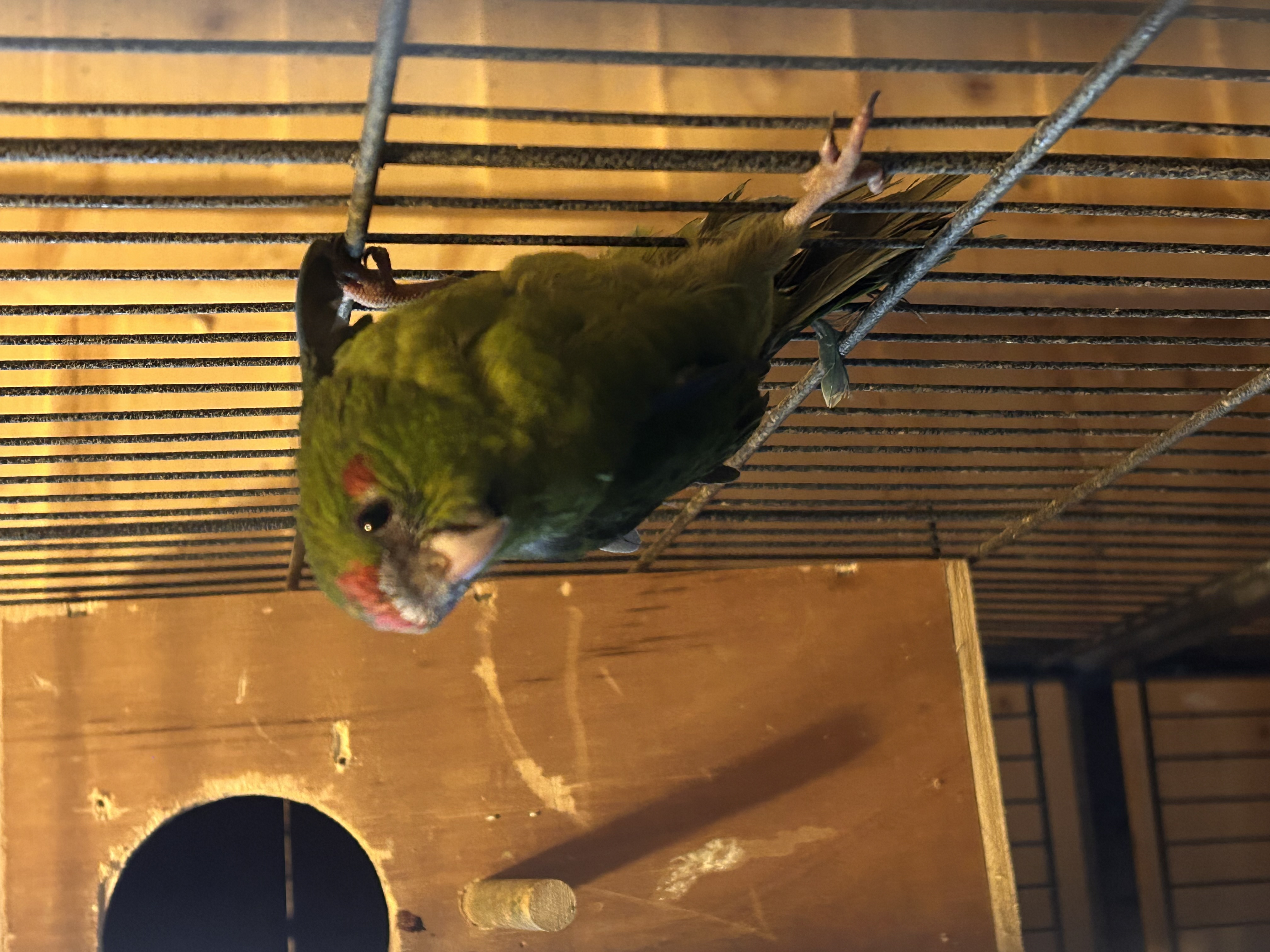 image-13
