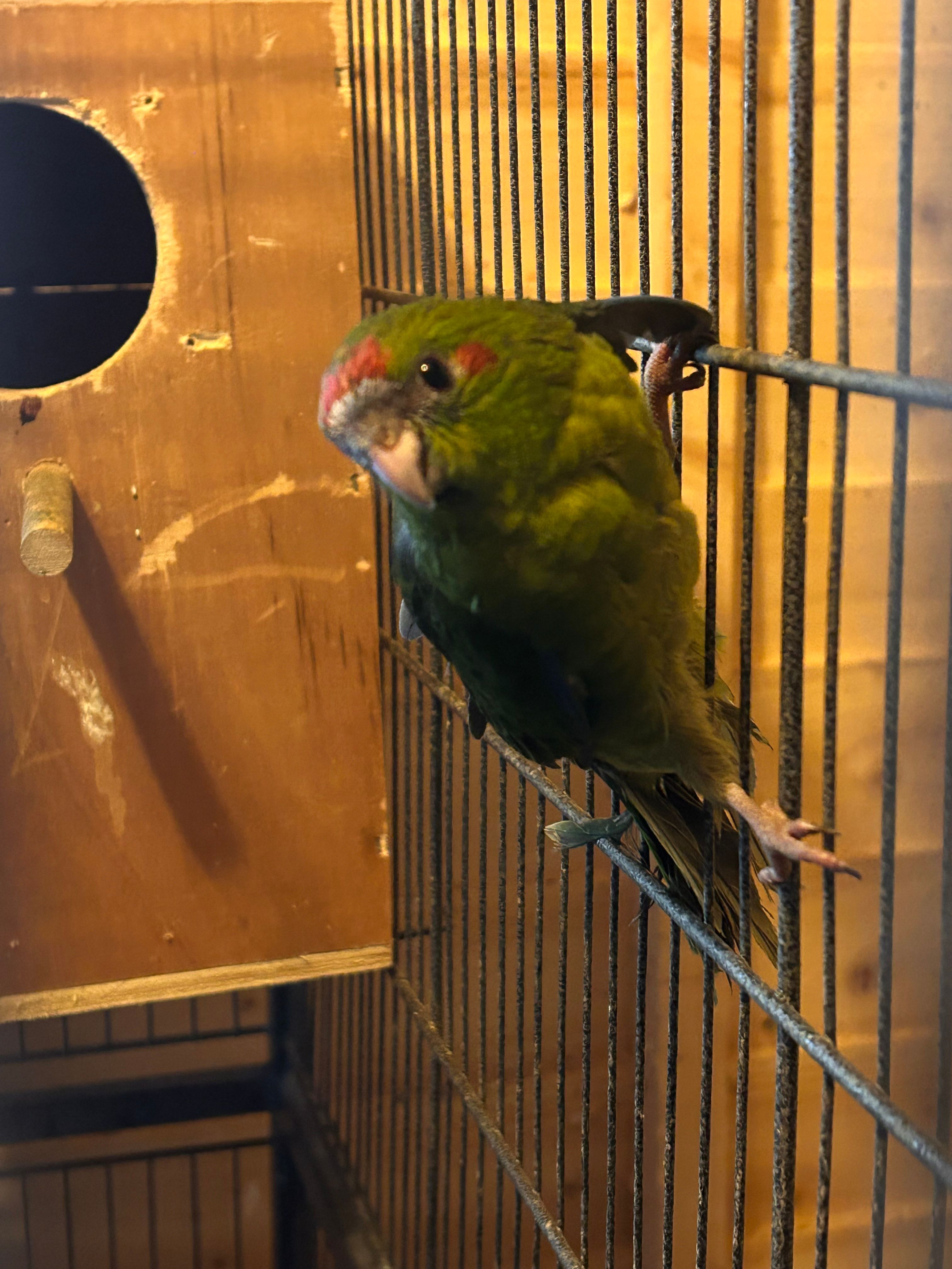 image-13