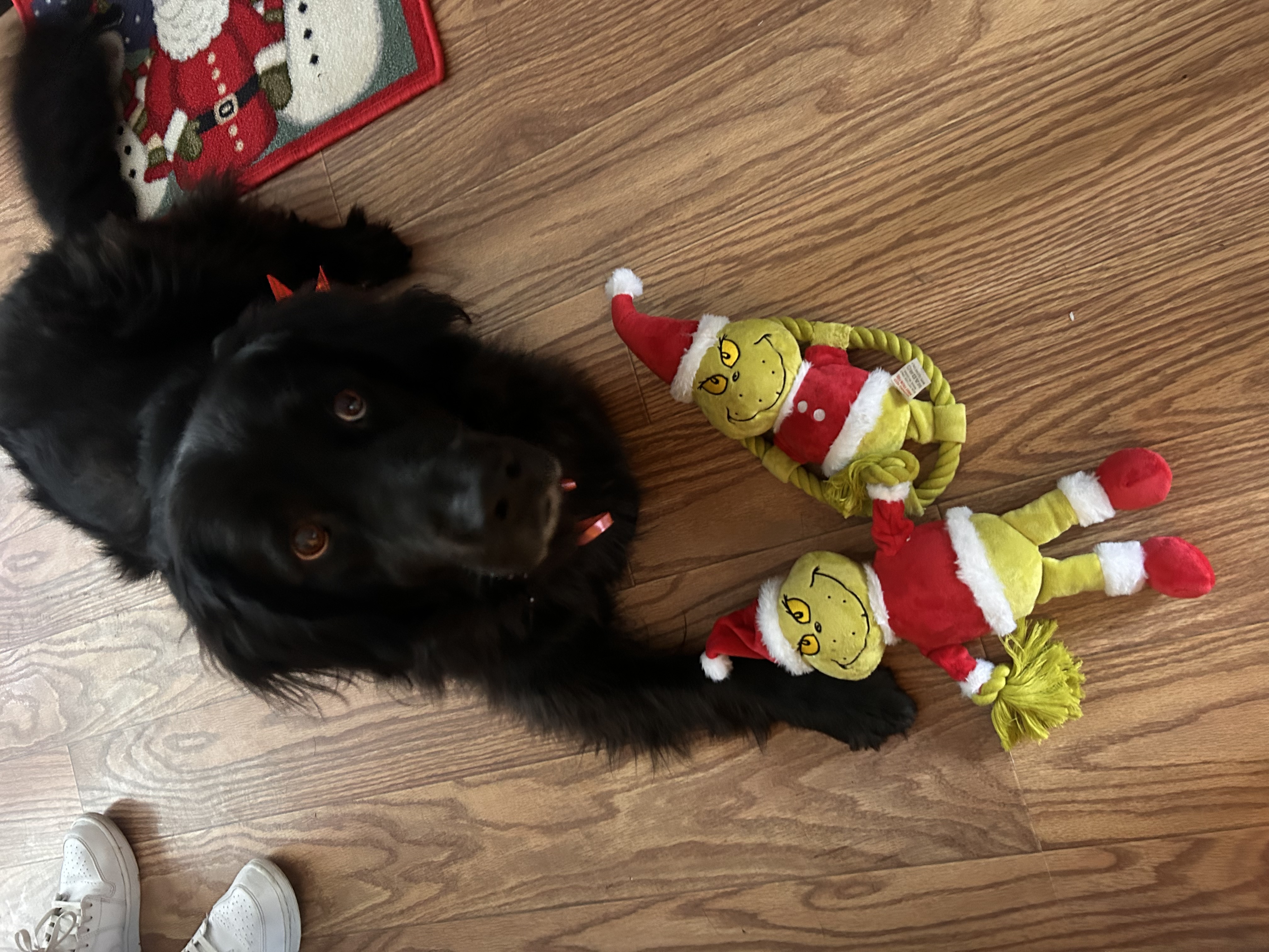 image-8