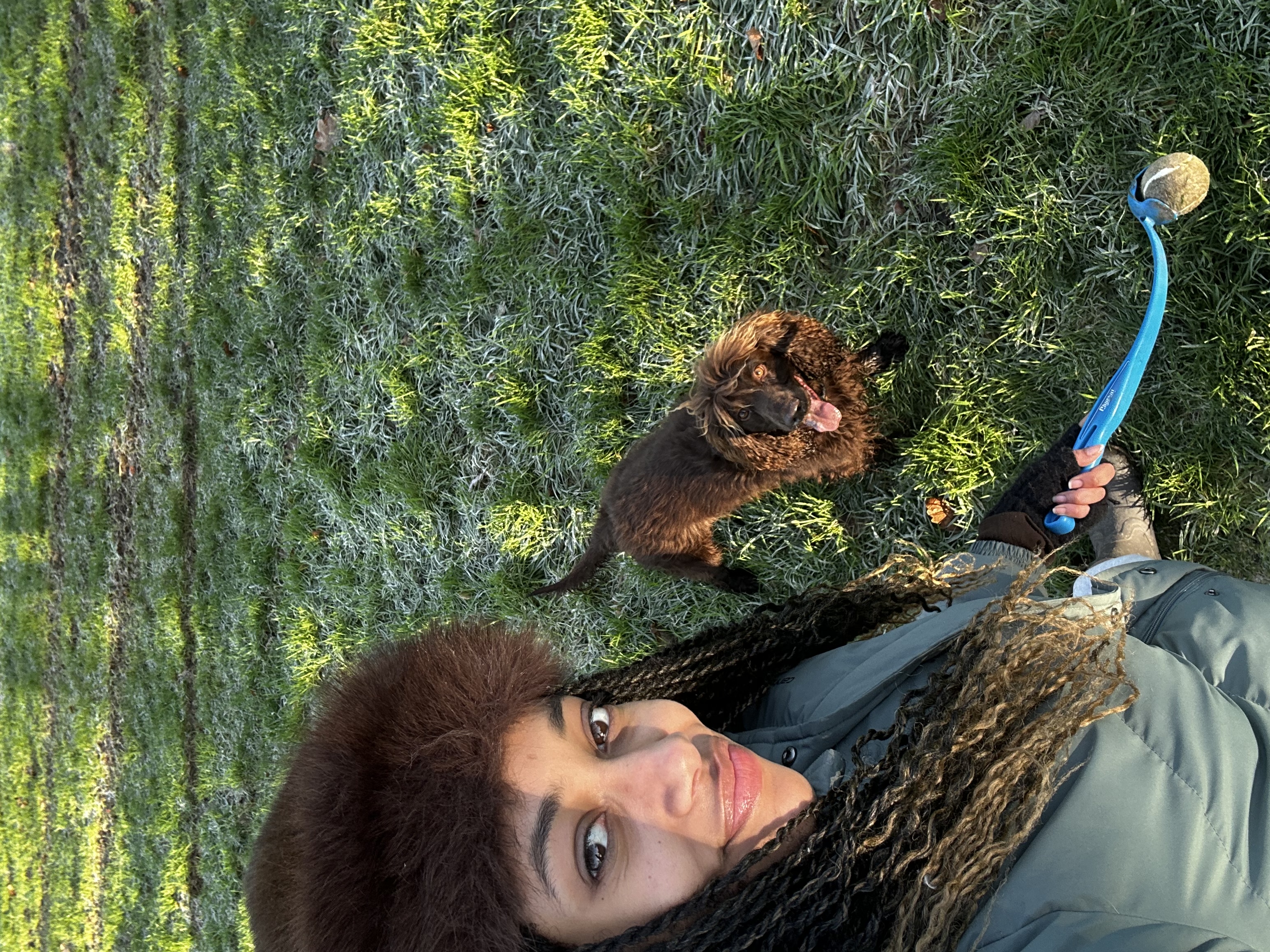 image-4
