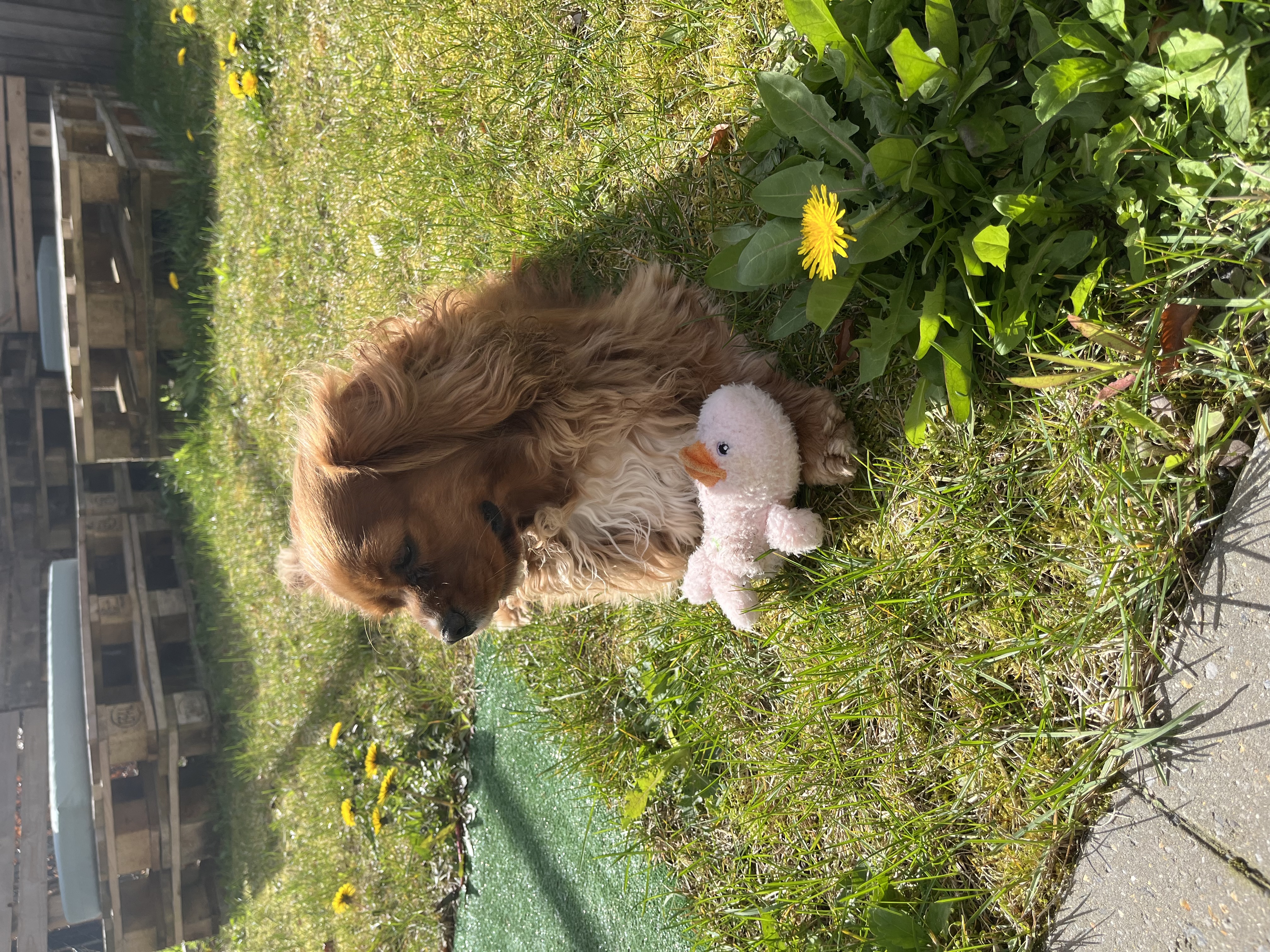 image-9