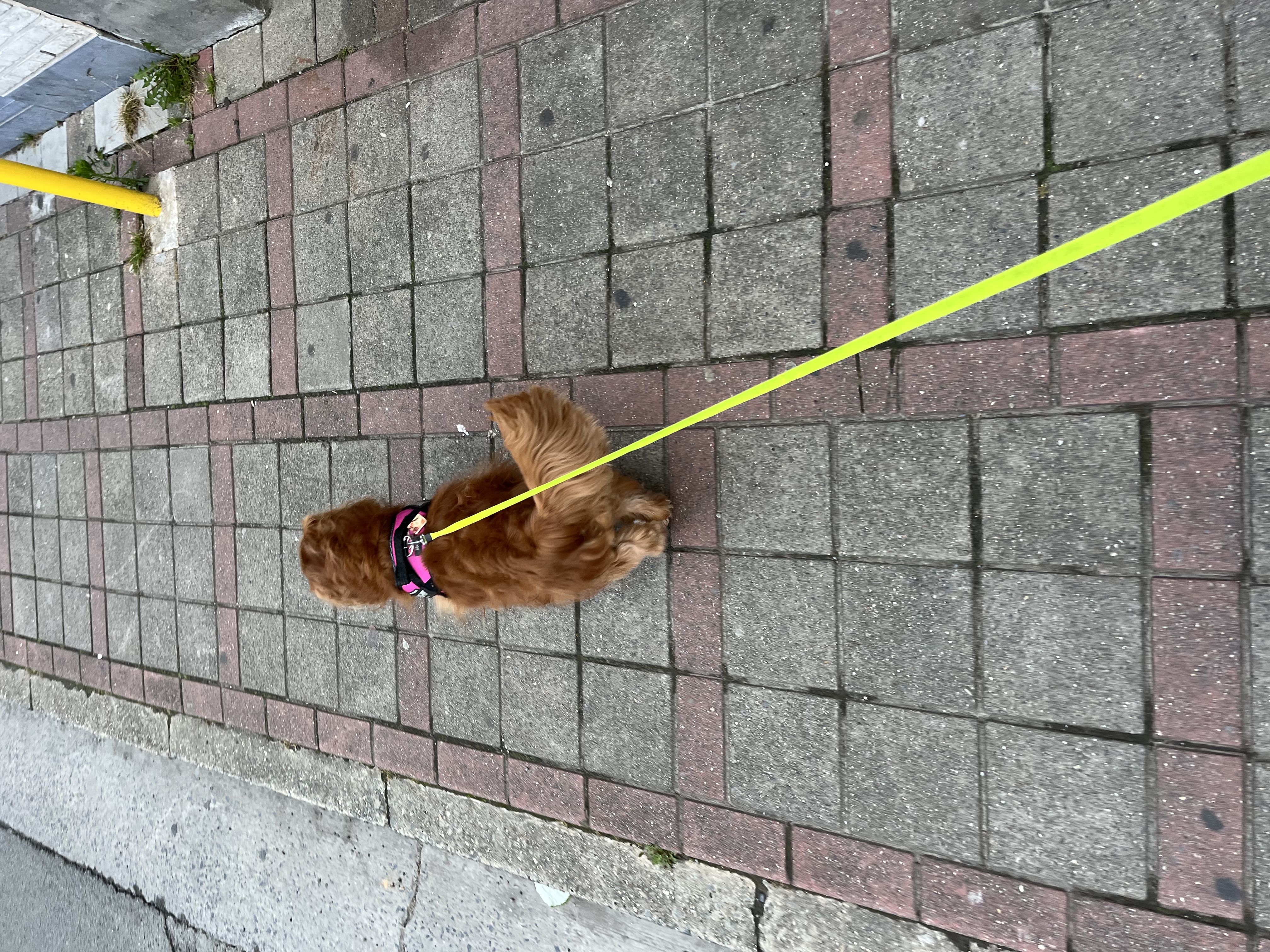 image-11