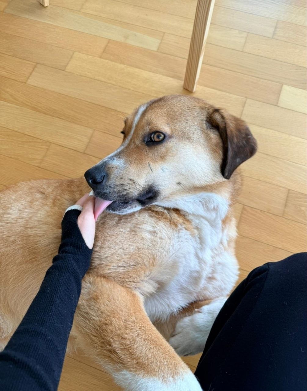 image-10