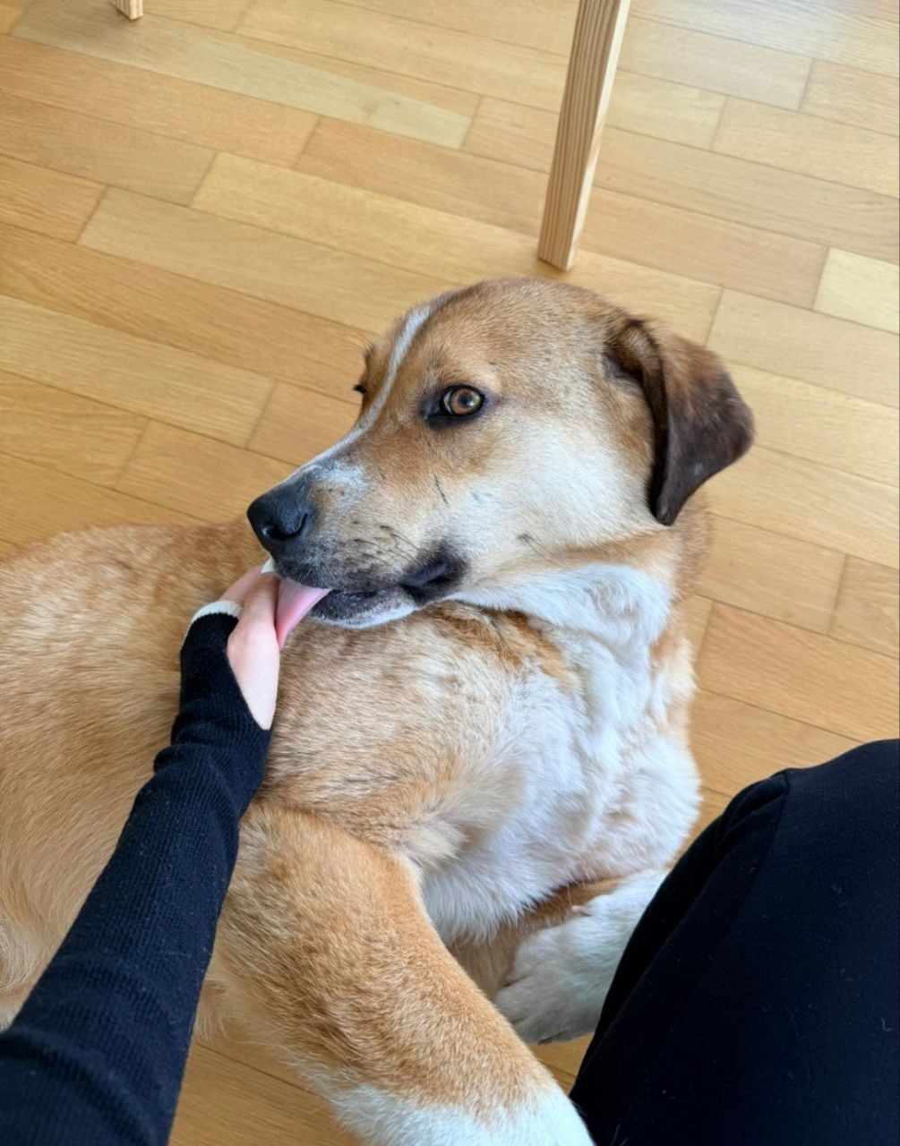 image-10