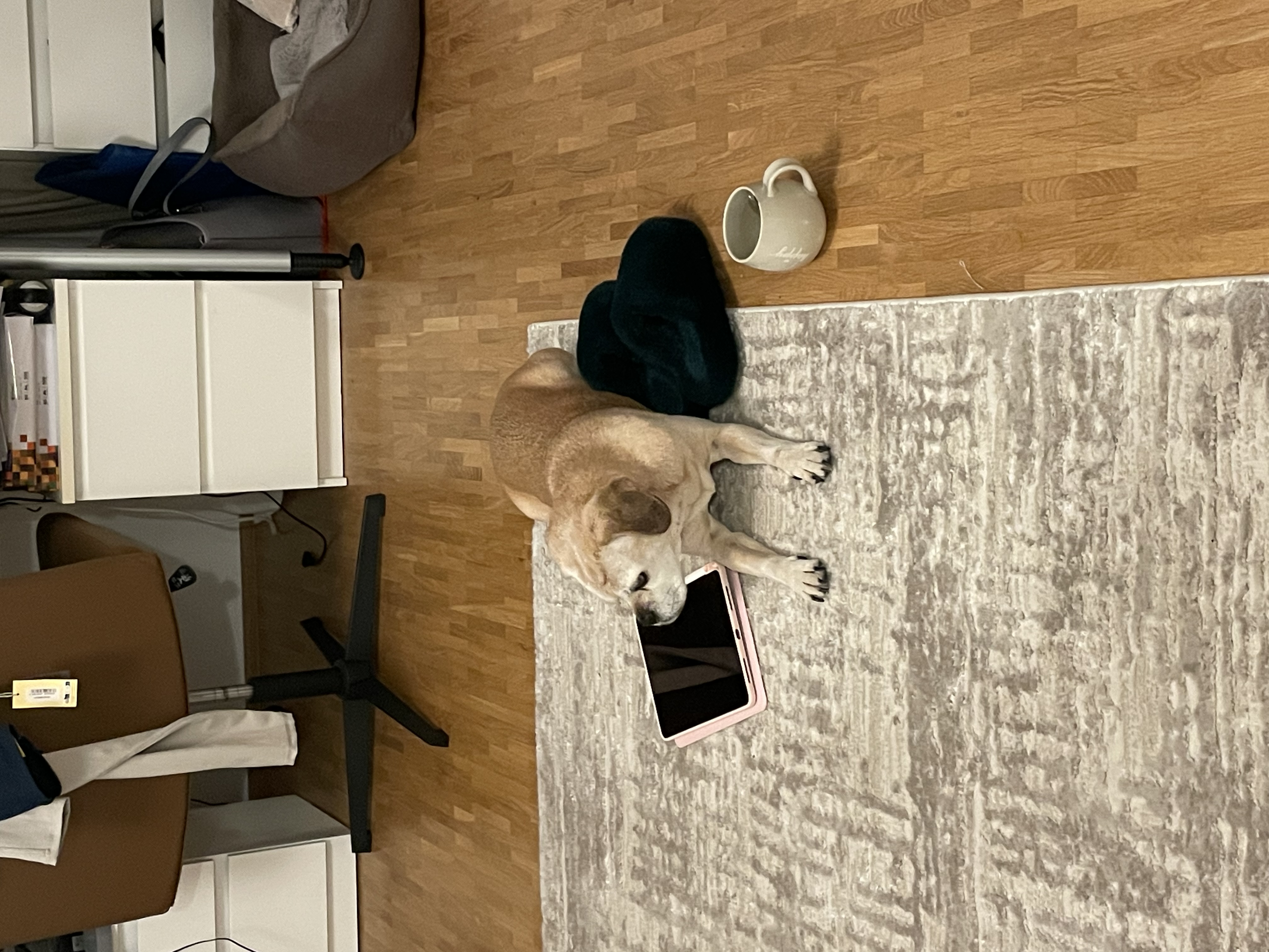 image-9