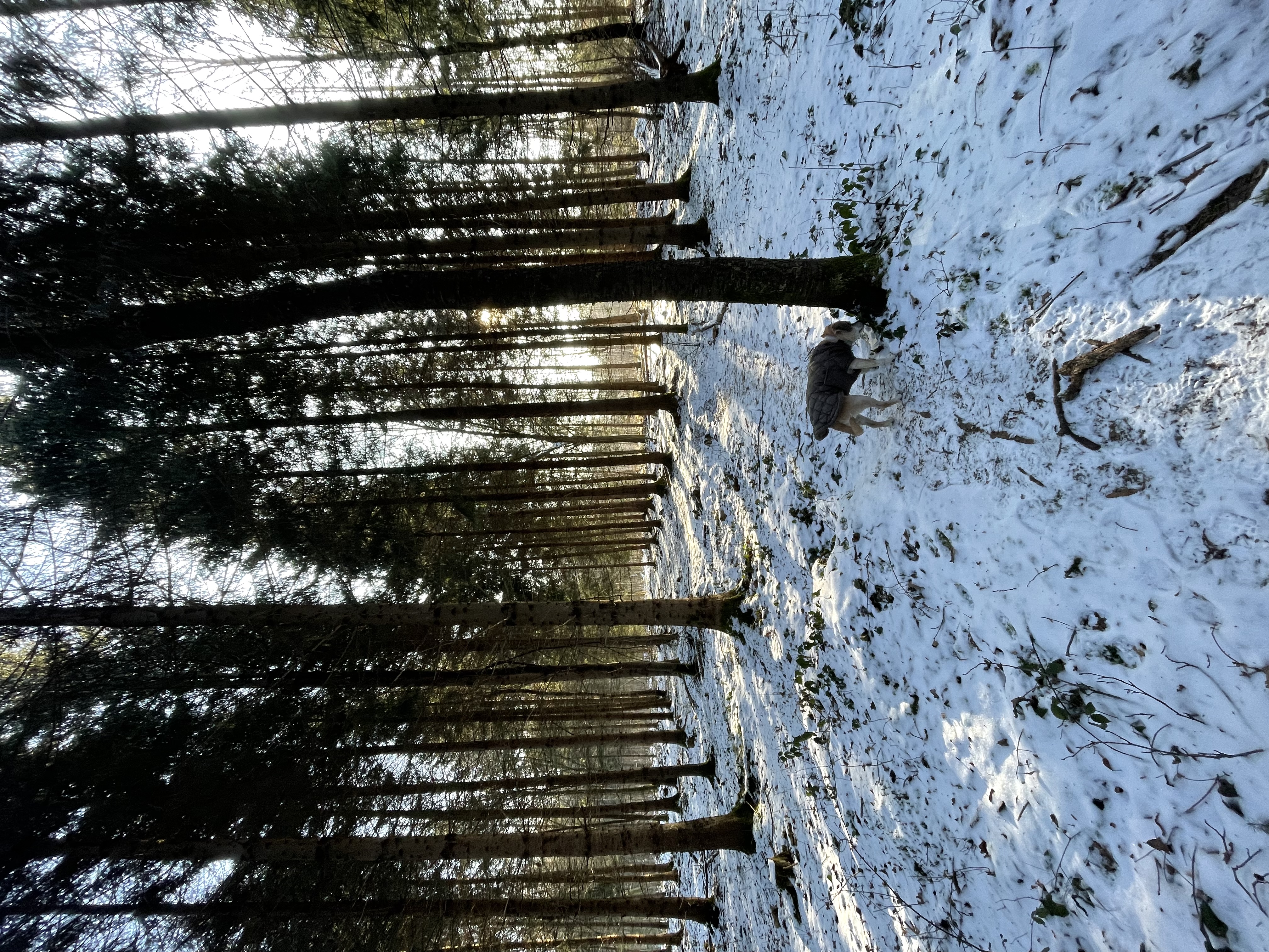 image-8