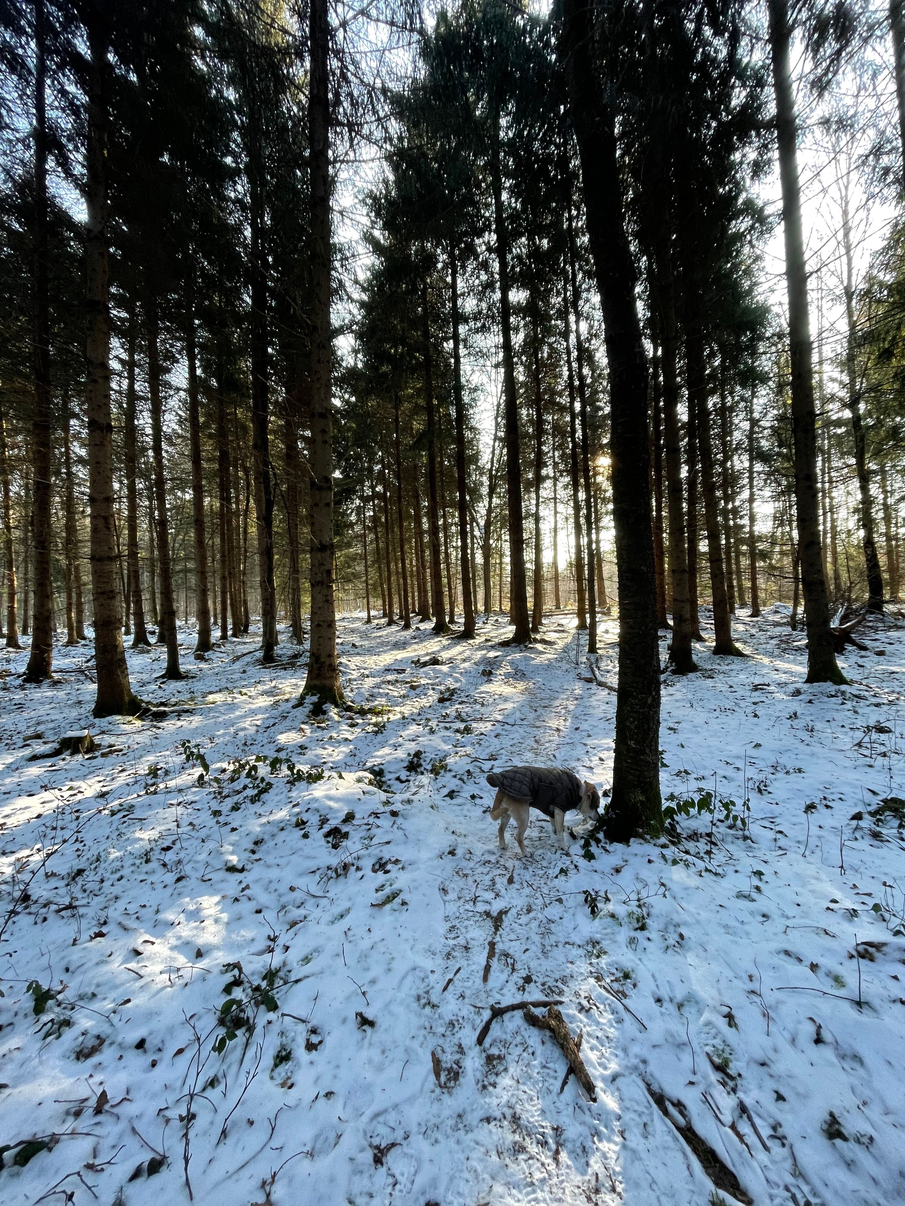 image-8