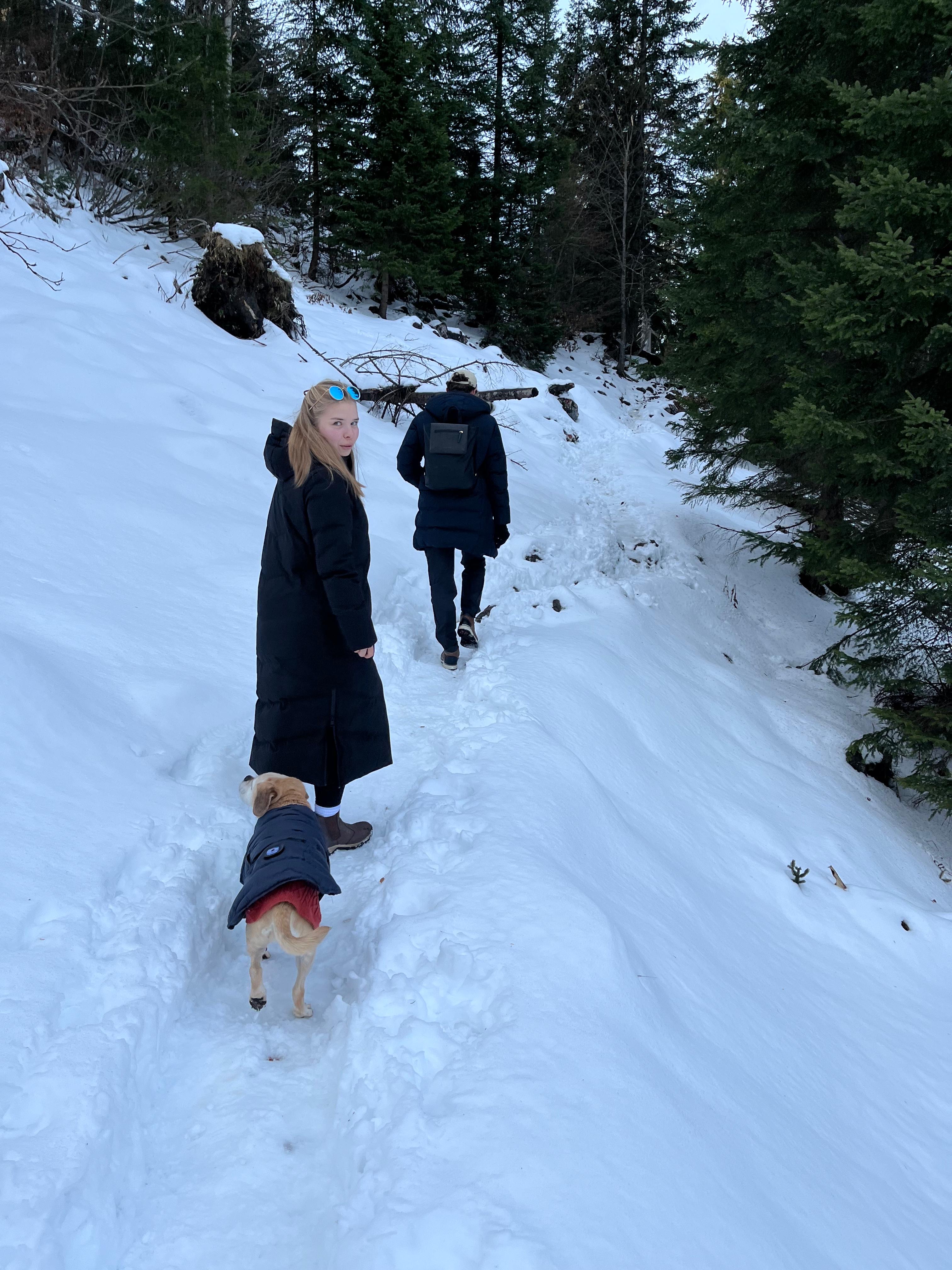 image-6