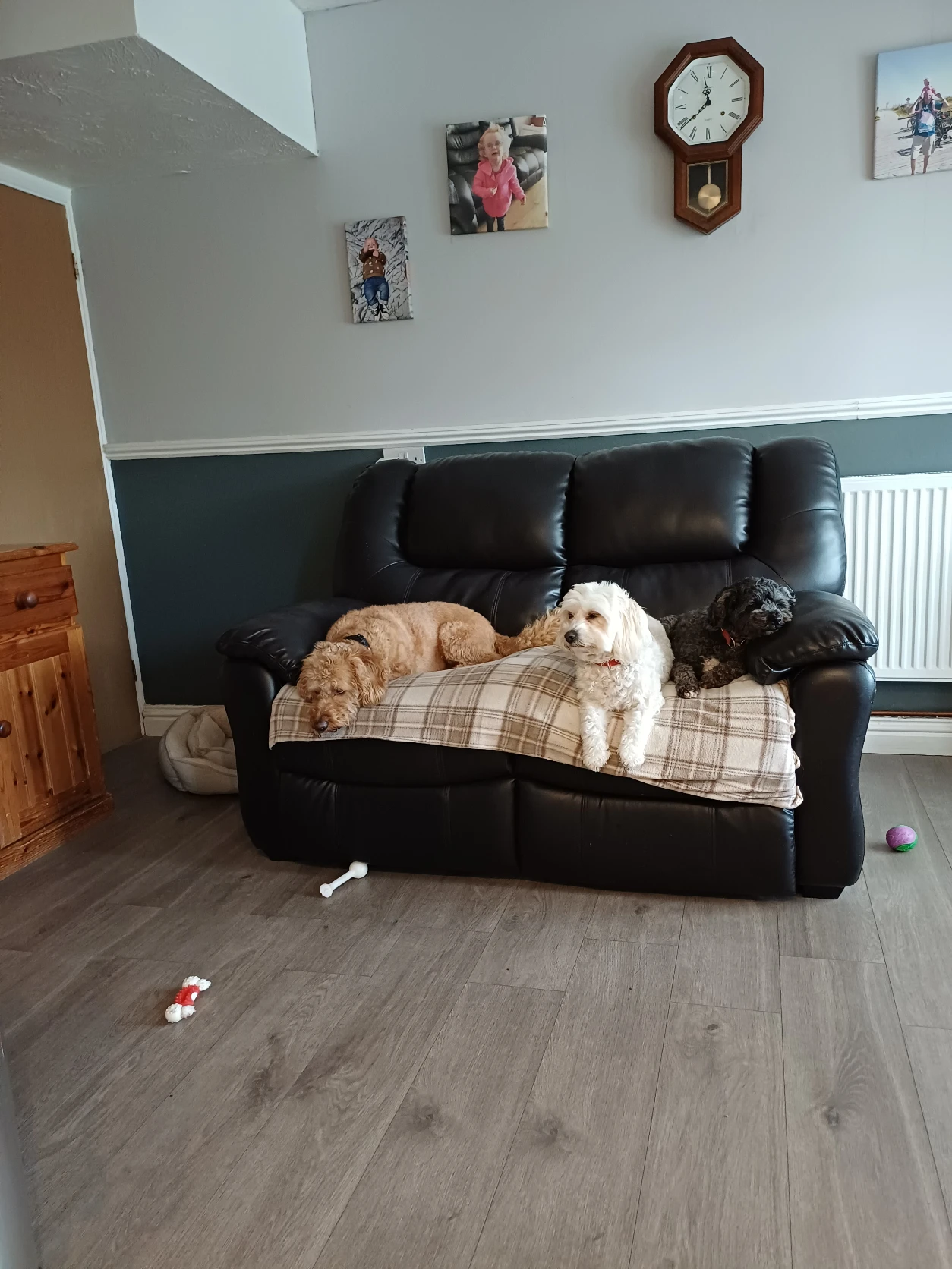 image-28