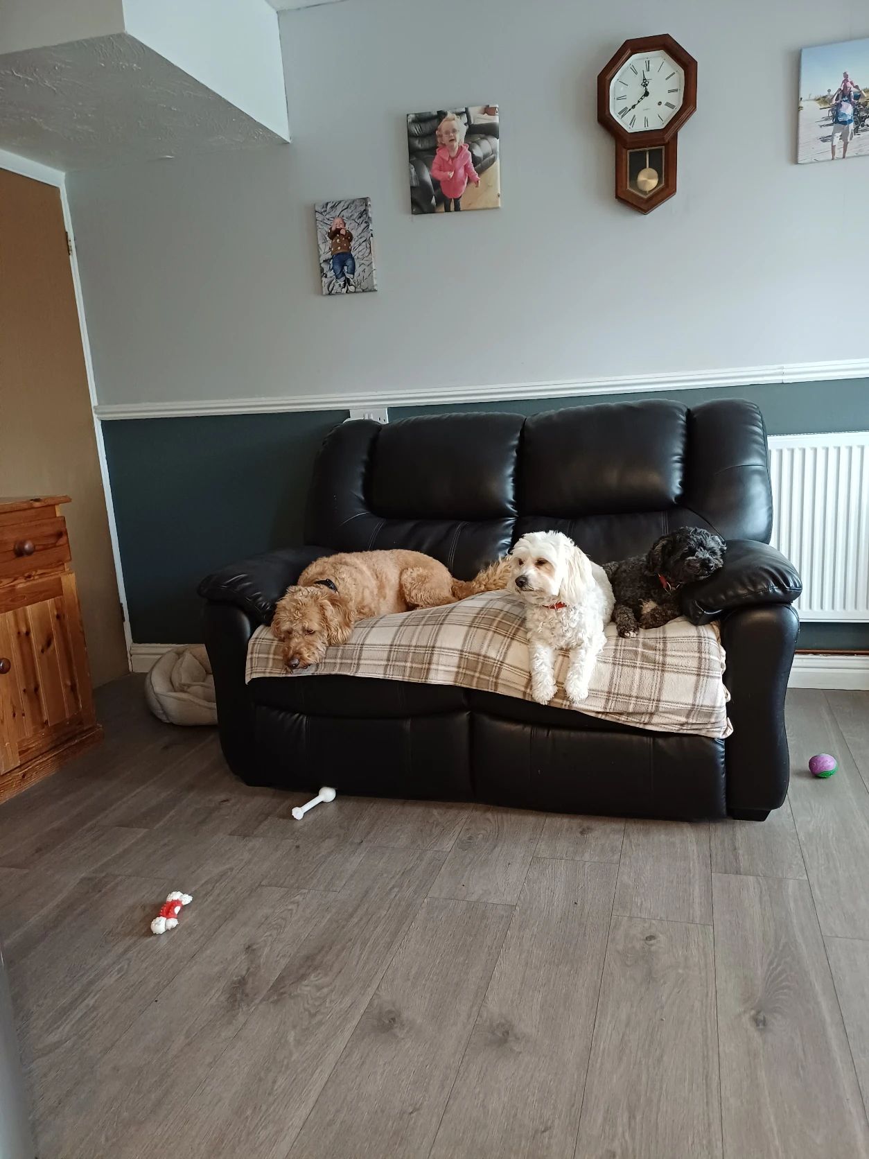 image-28