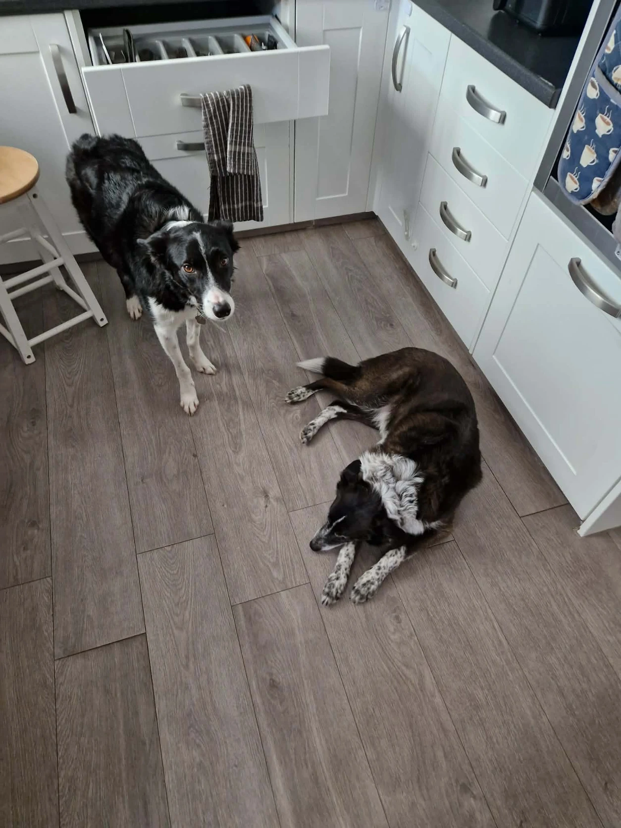image-17