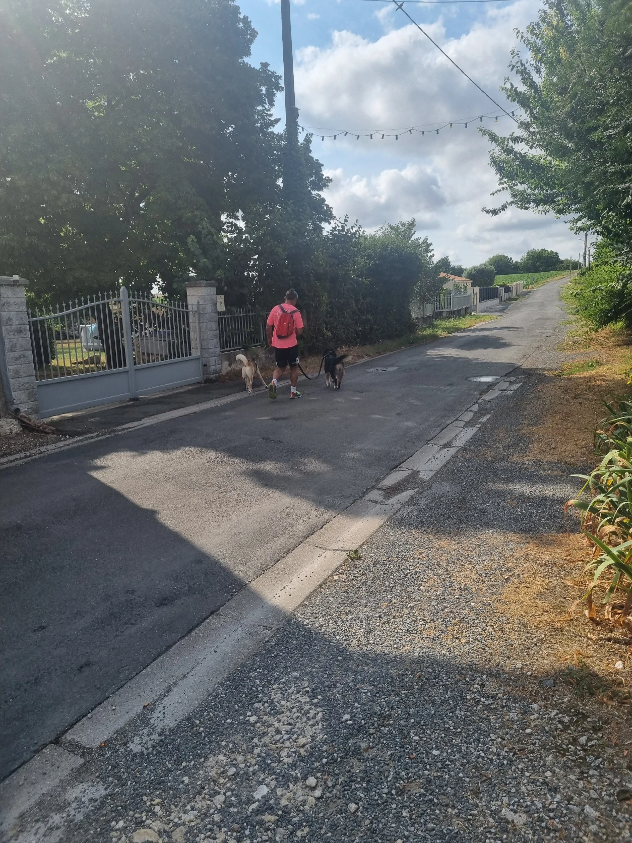 image-18