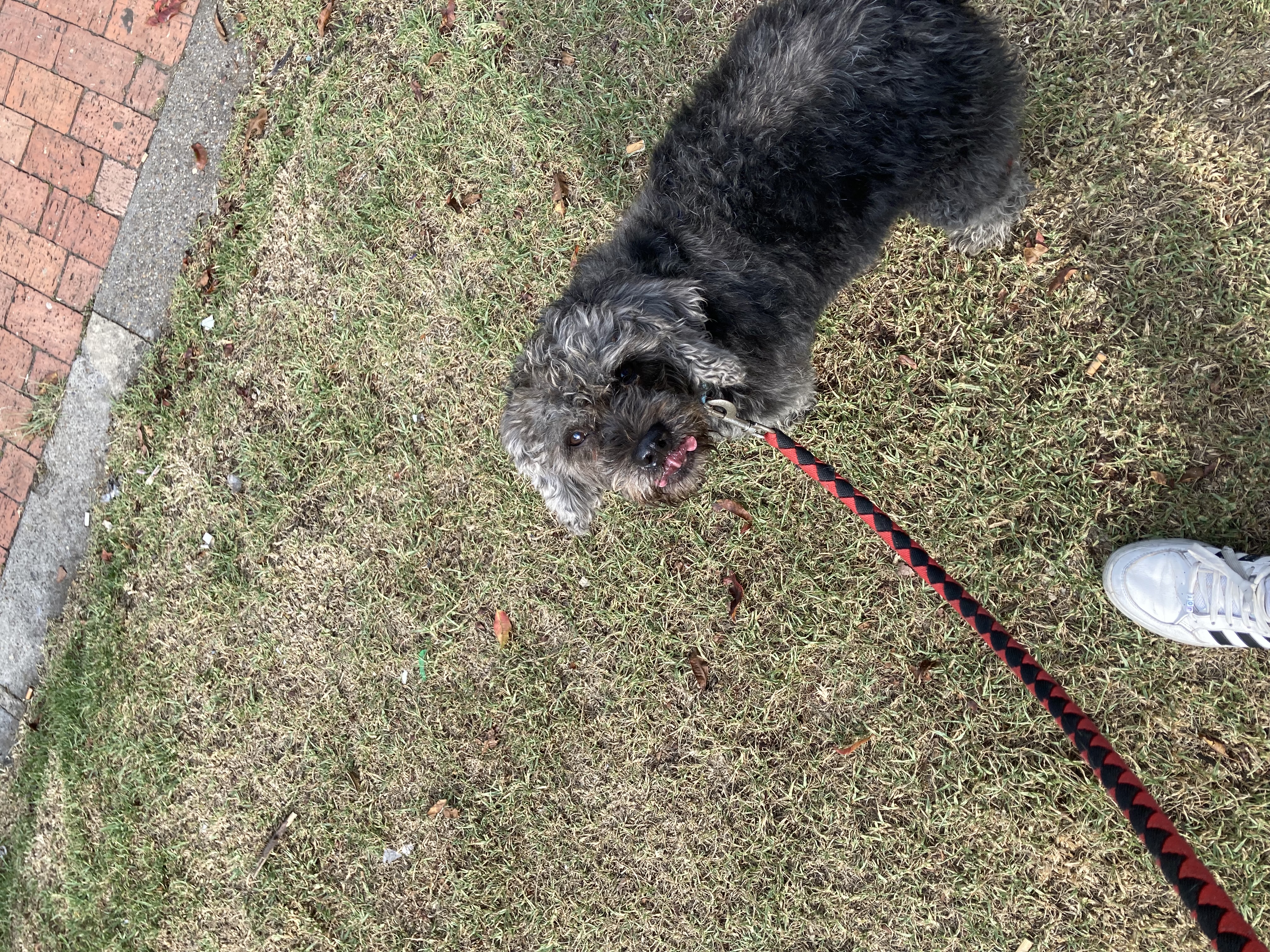image-14