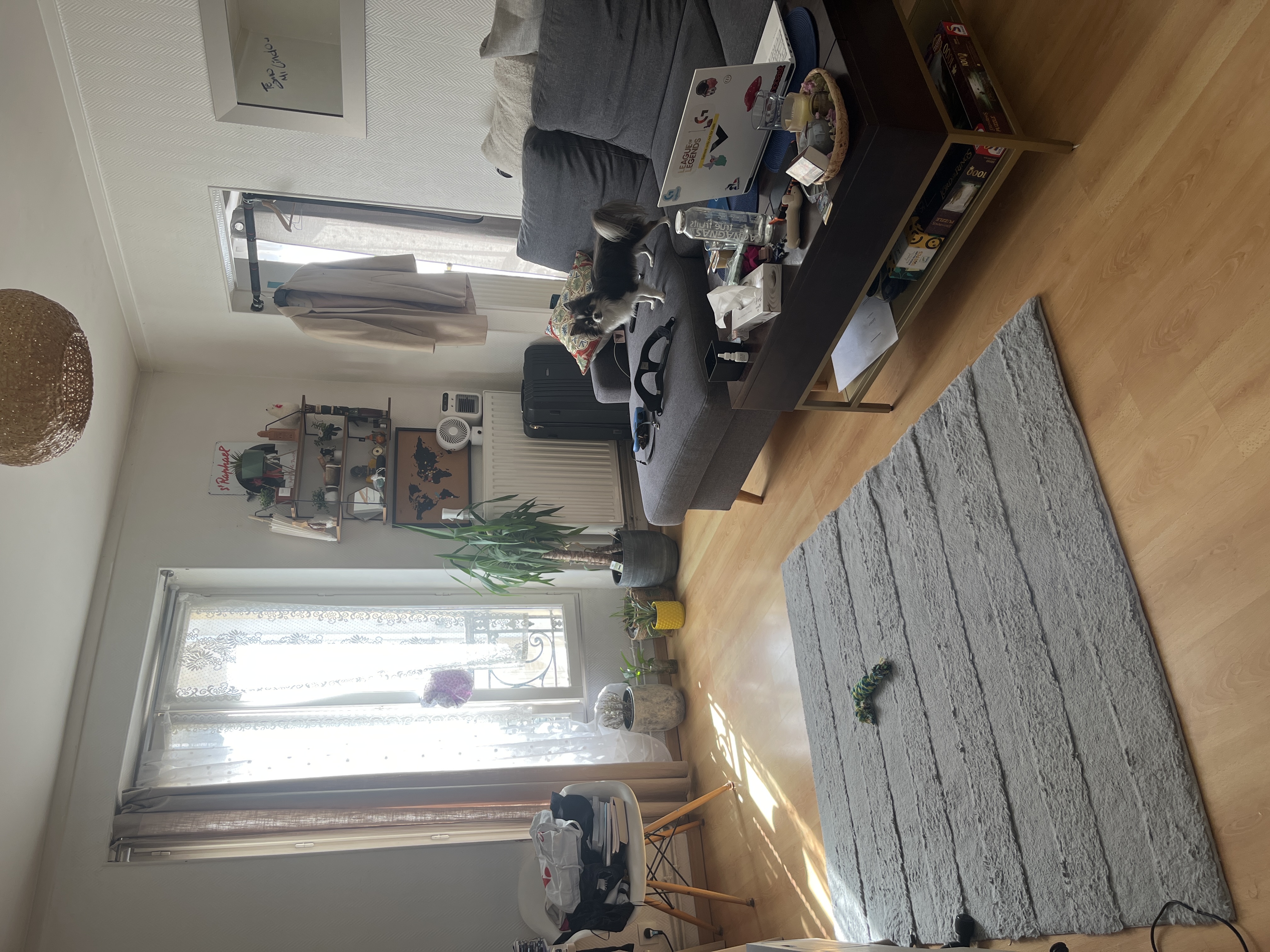 image-18