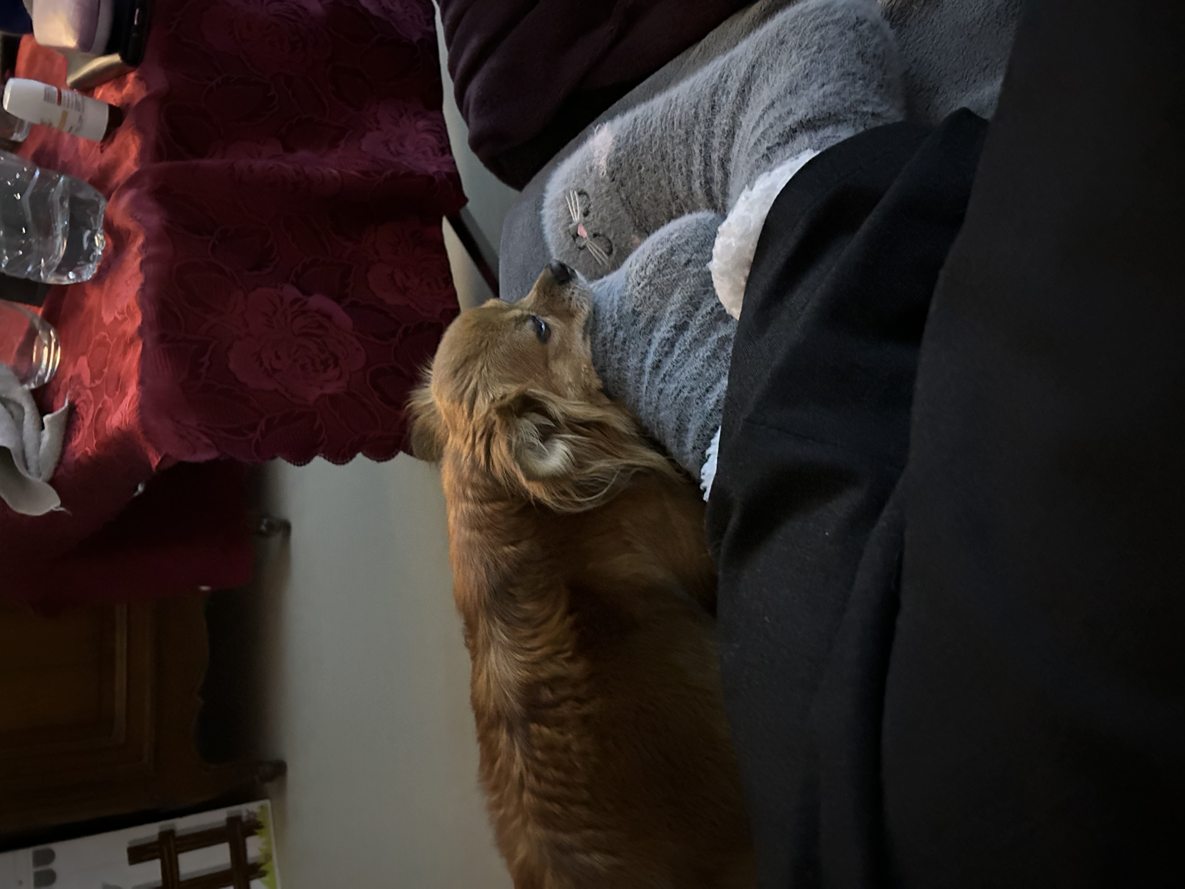 image-6