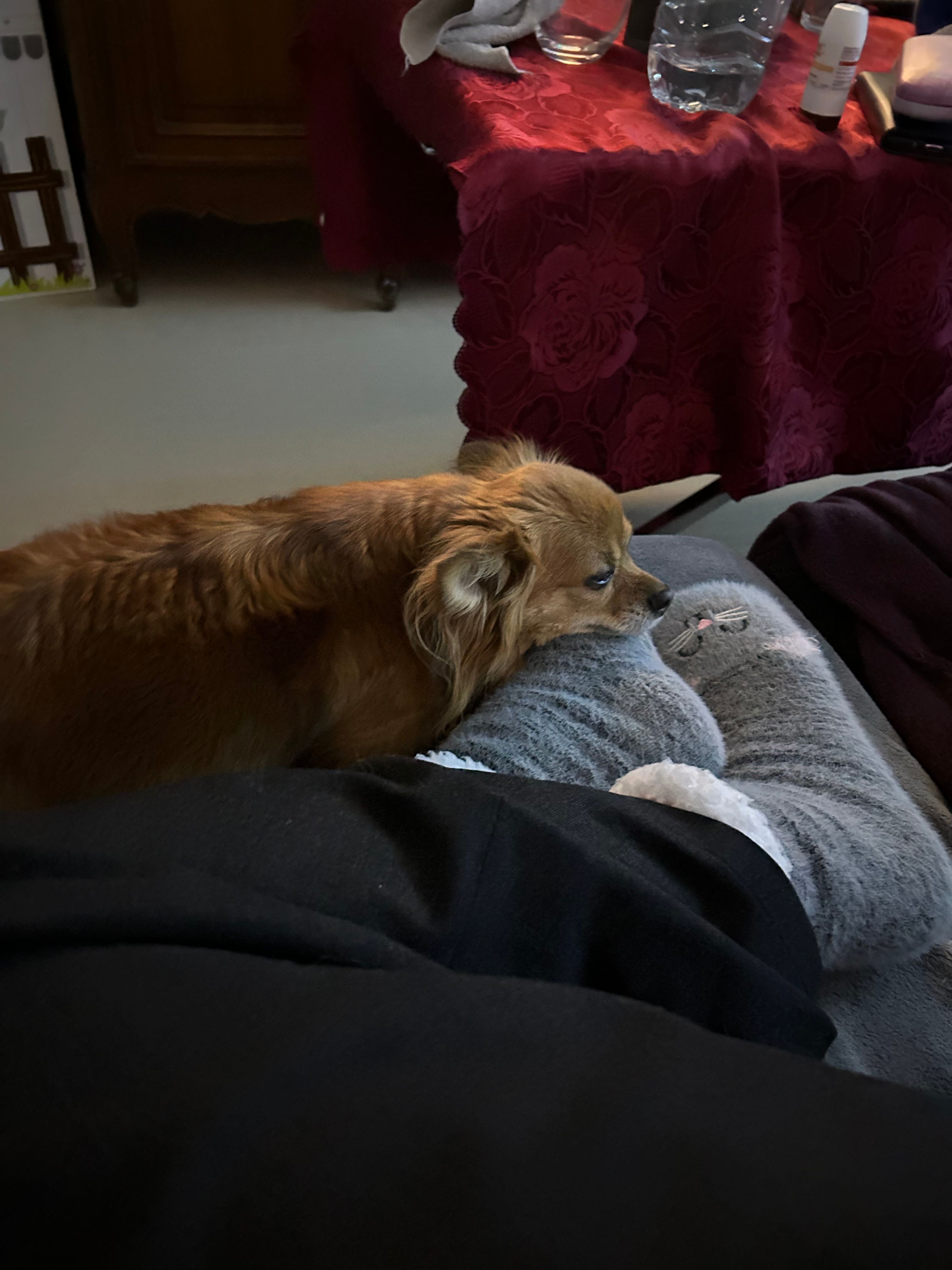 image-6