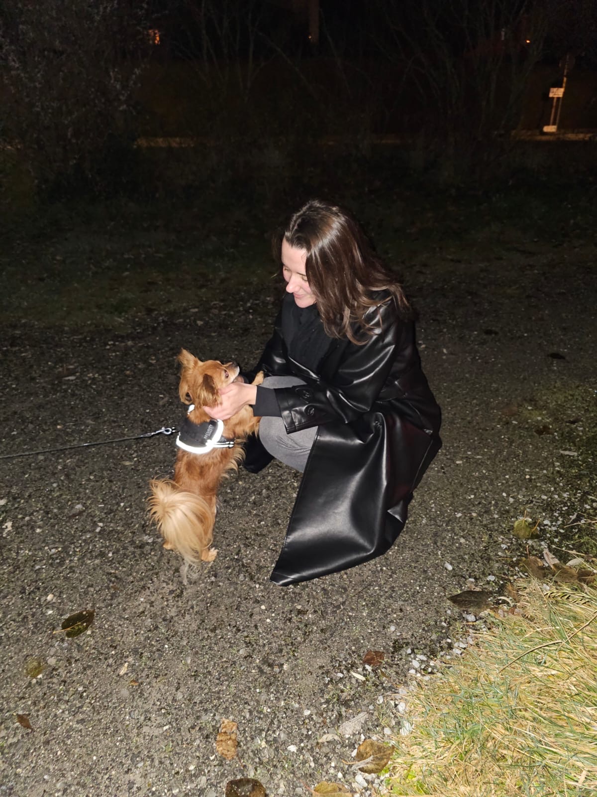 image-4