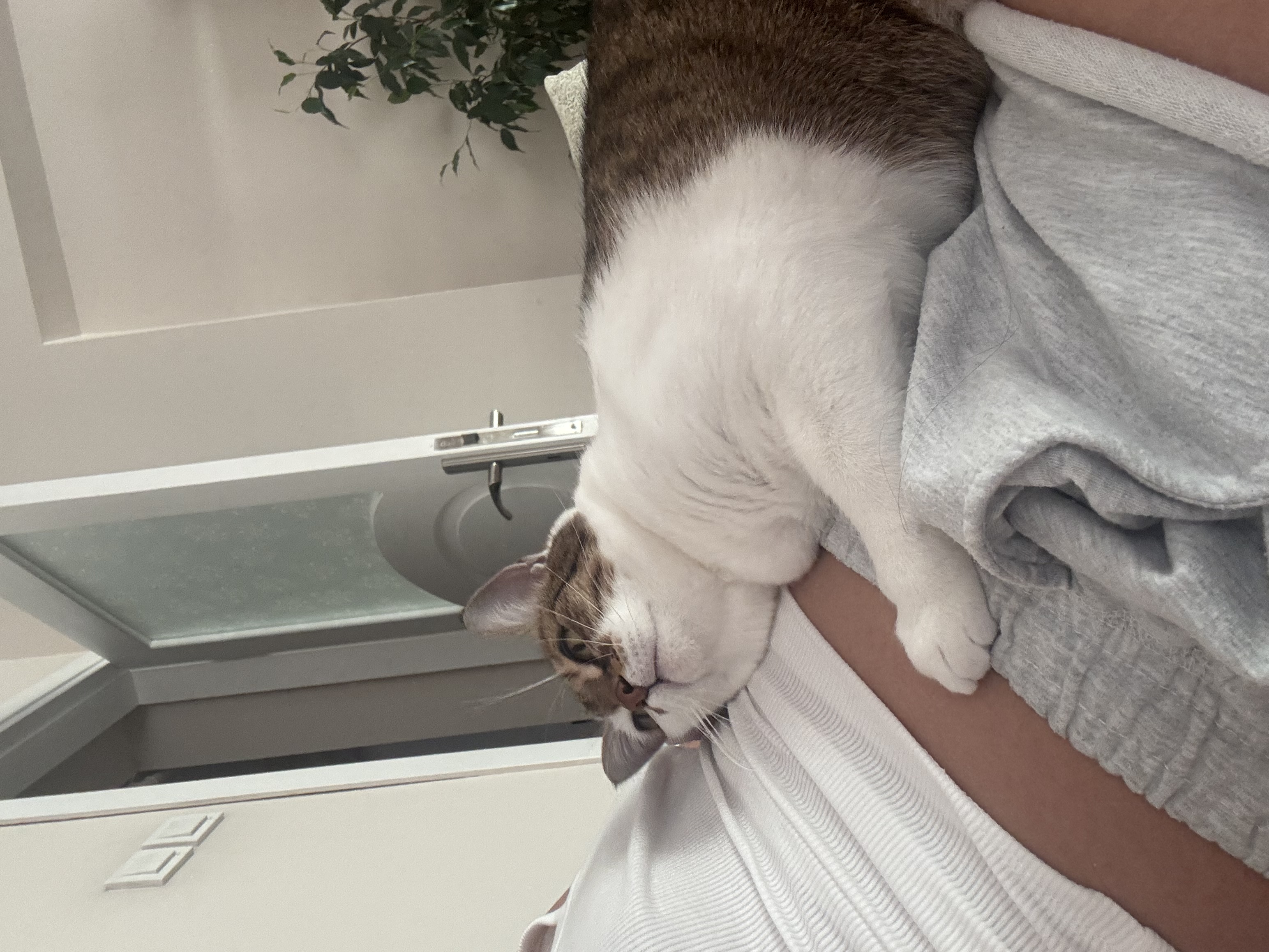 image-7