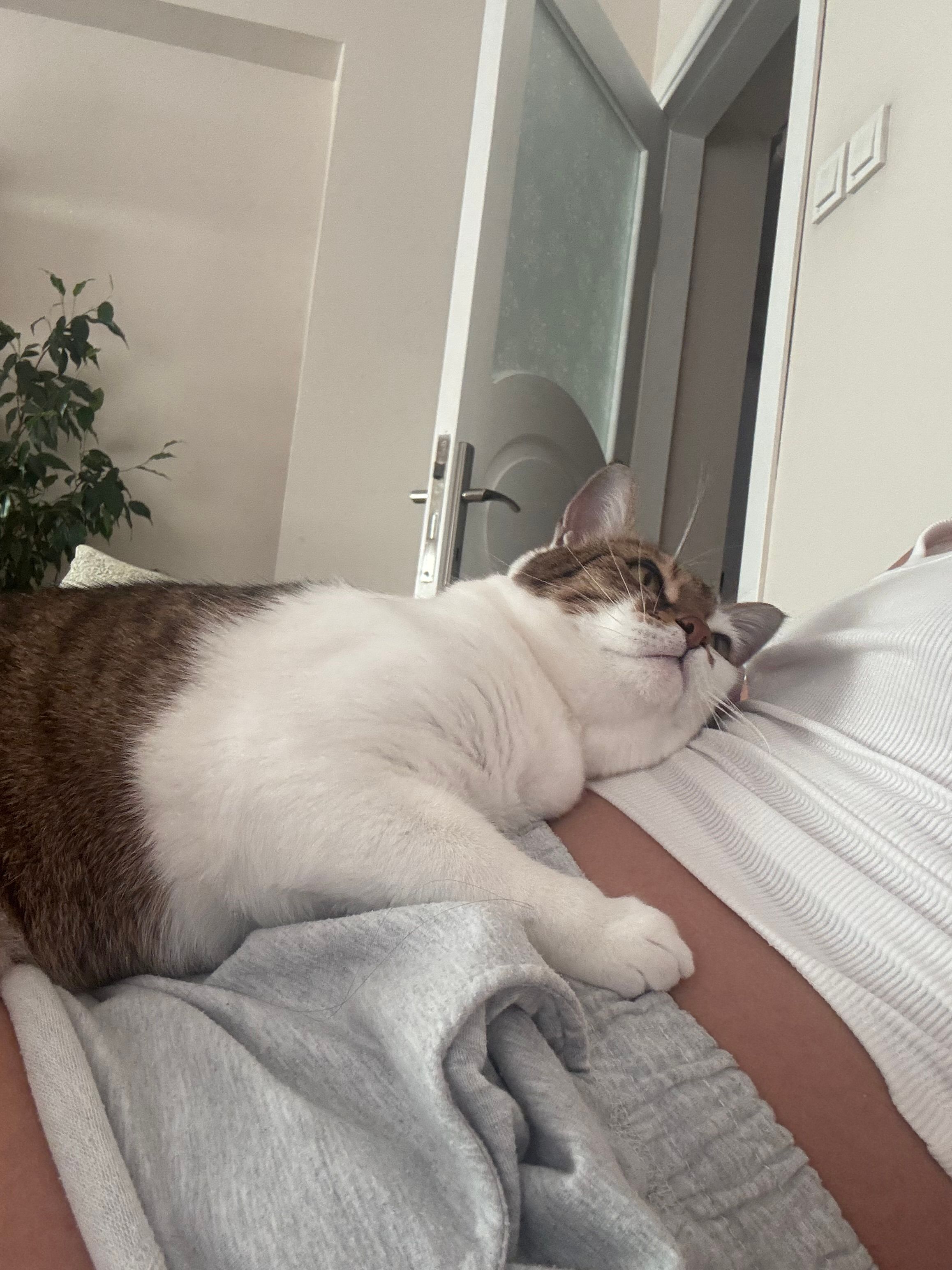 image-7