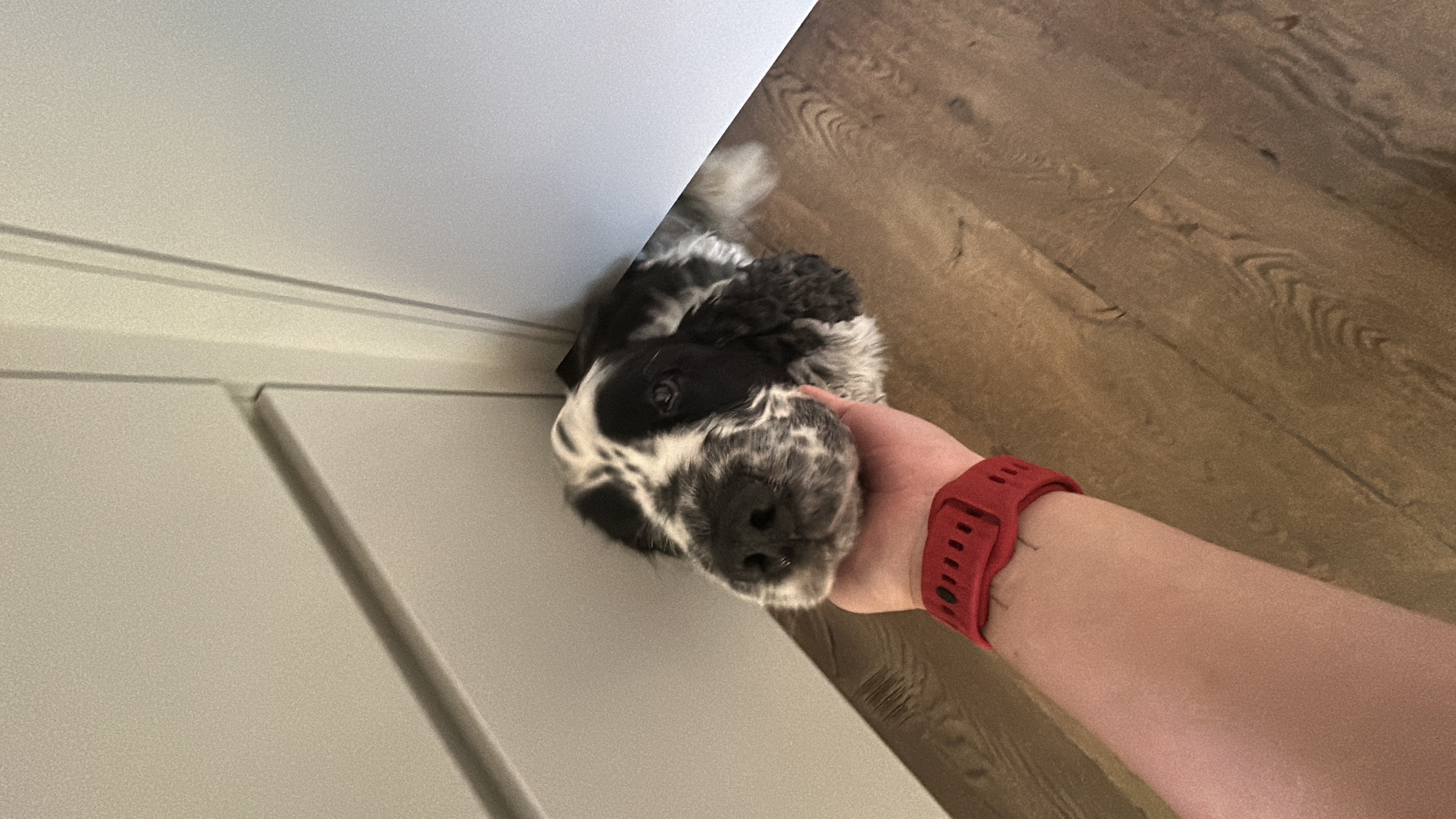 image-9
