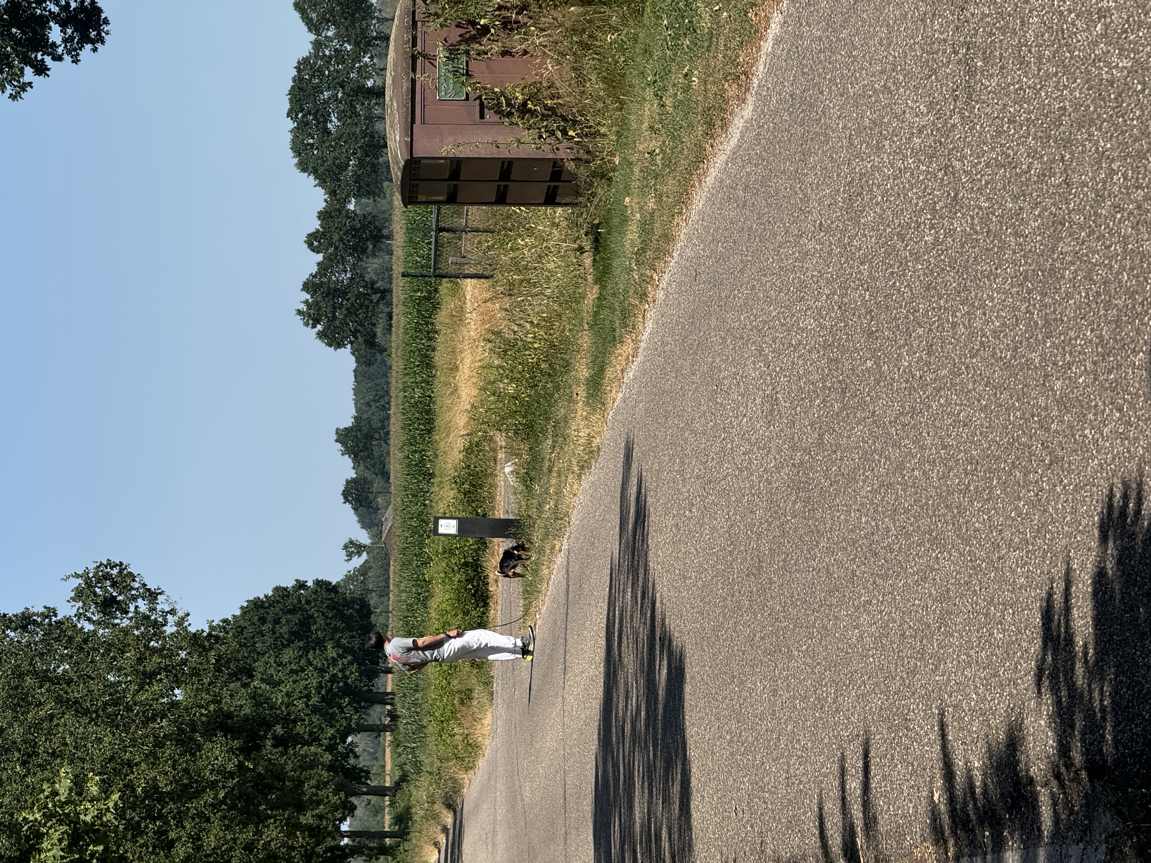 image-20