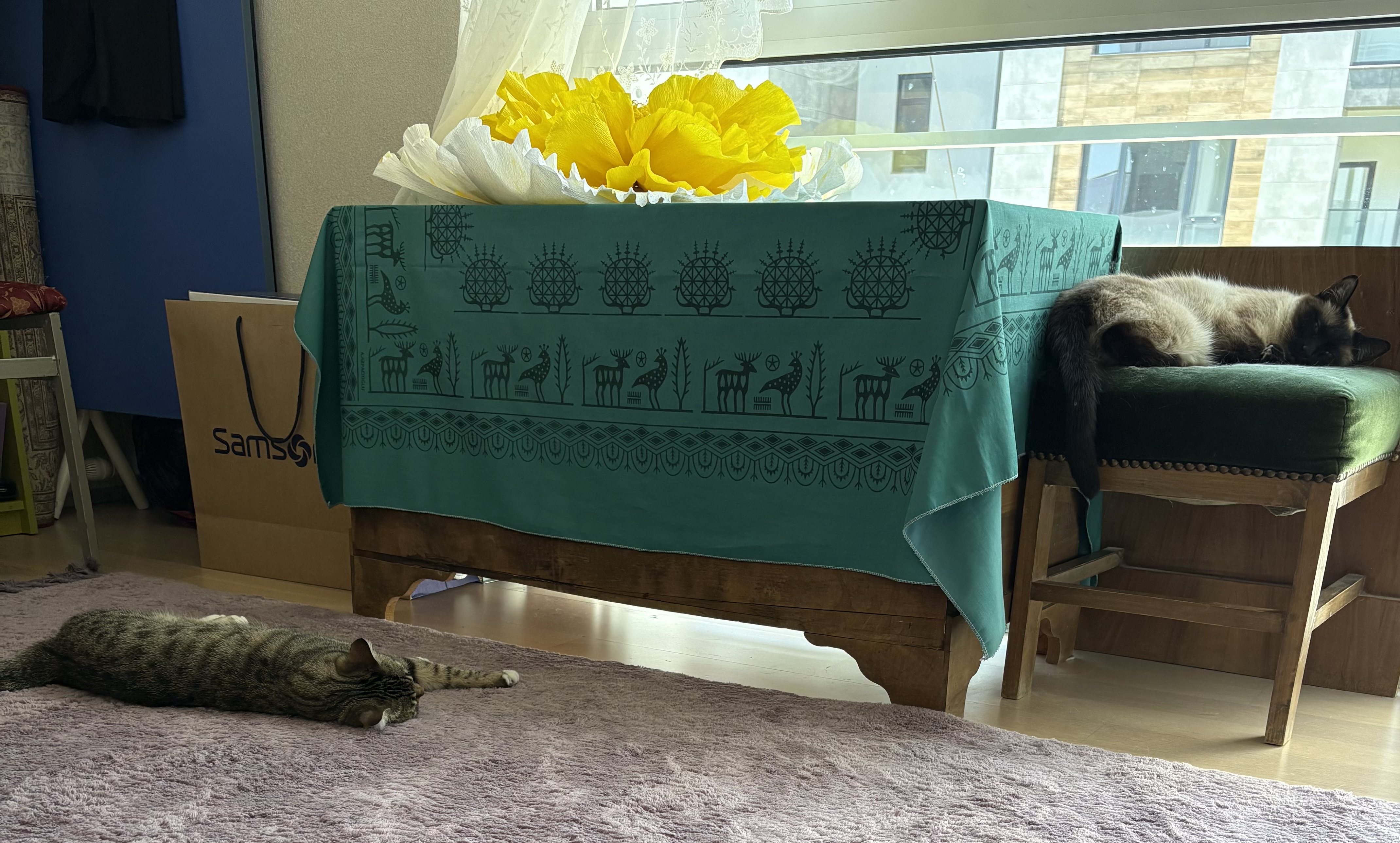 image-16