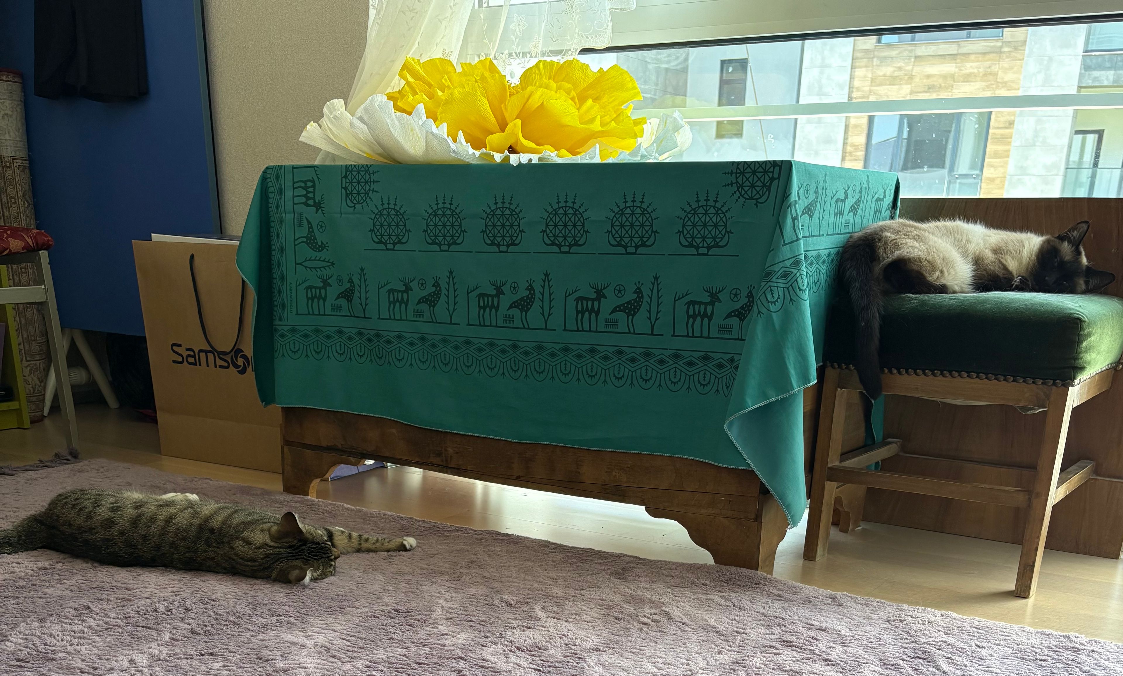 image-16