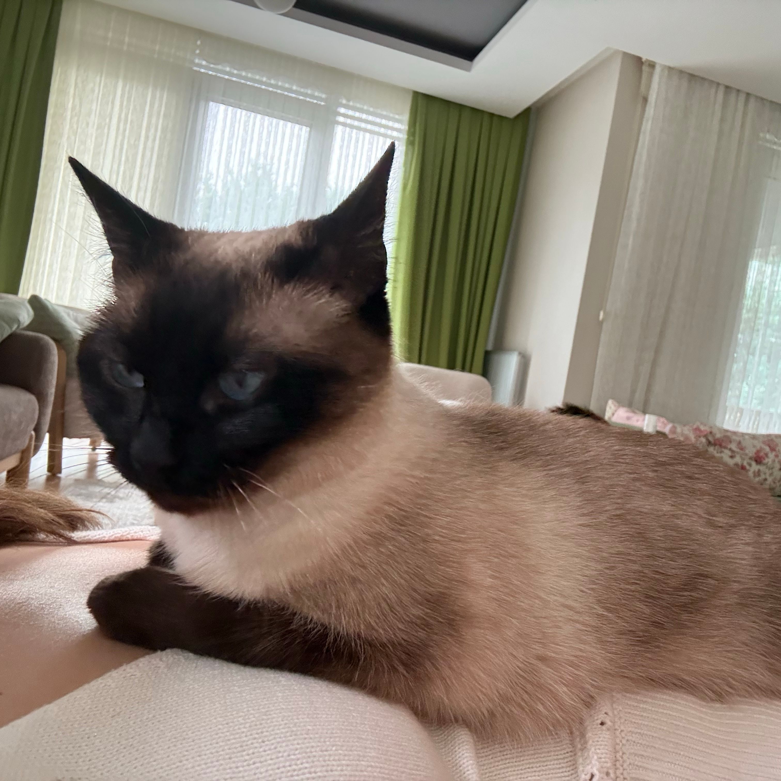 Luna