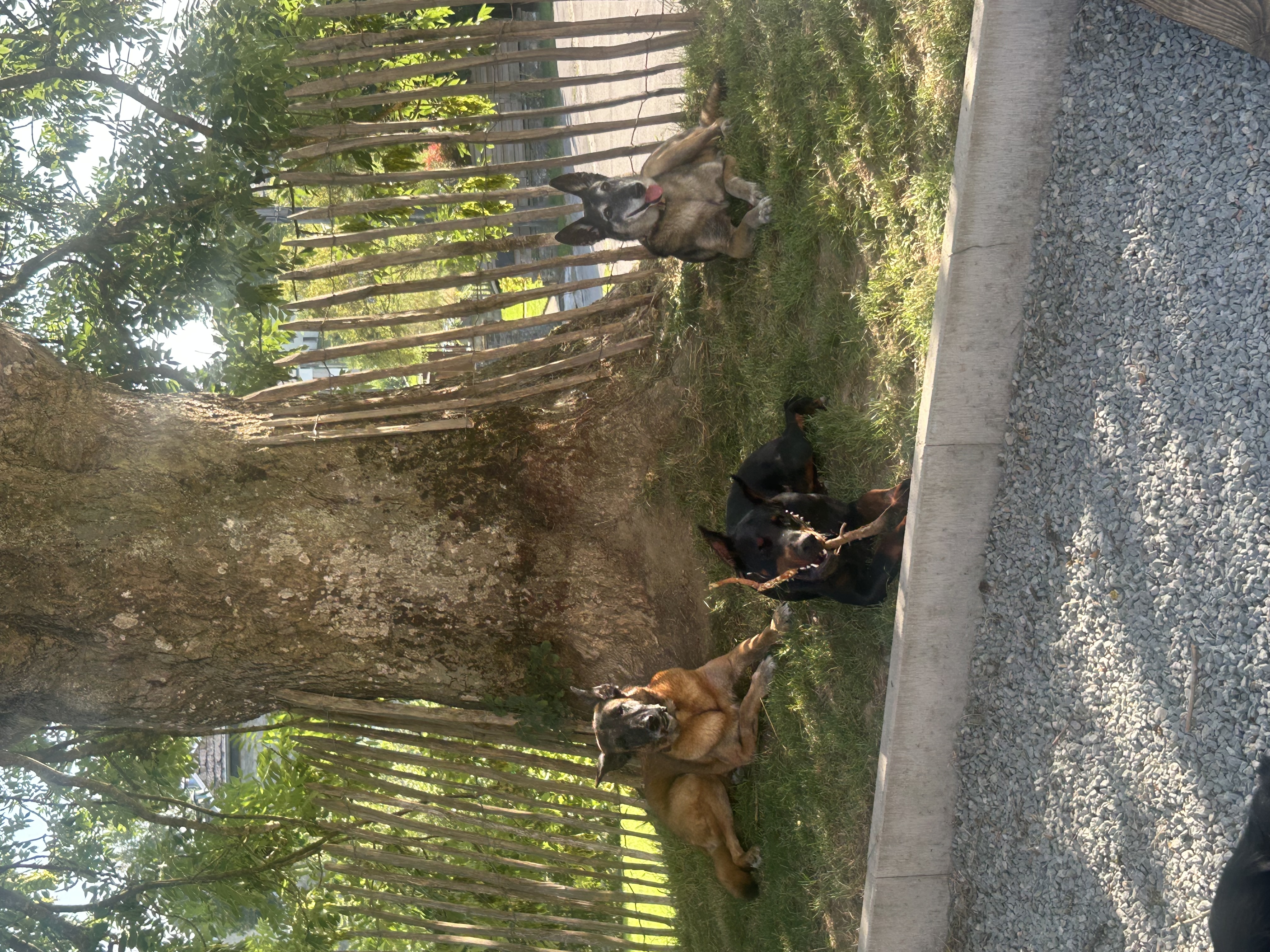 image-25