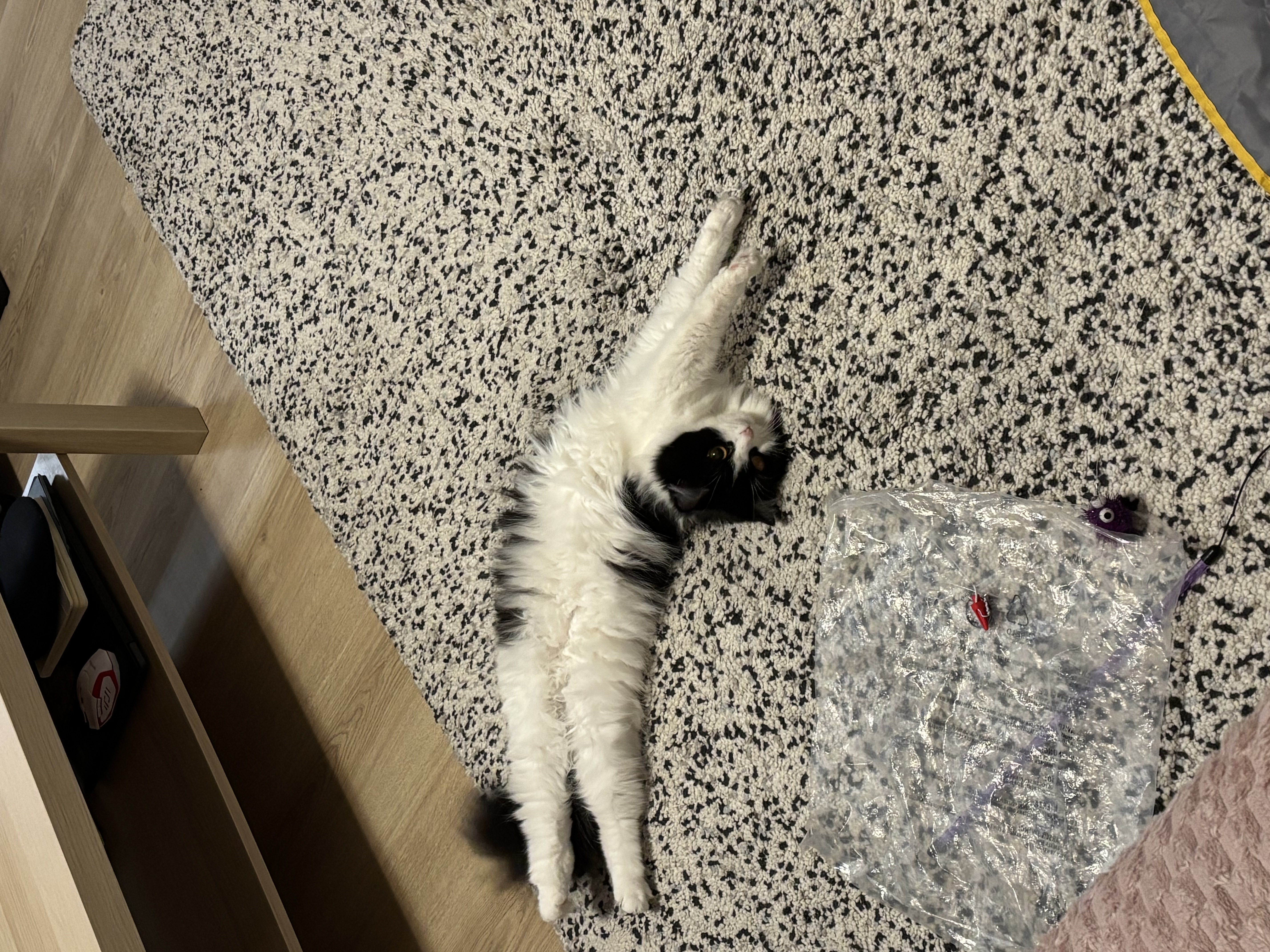 image-7