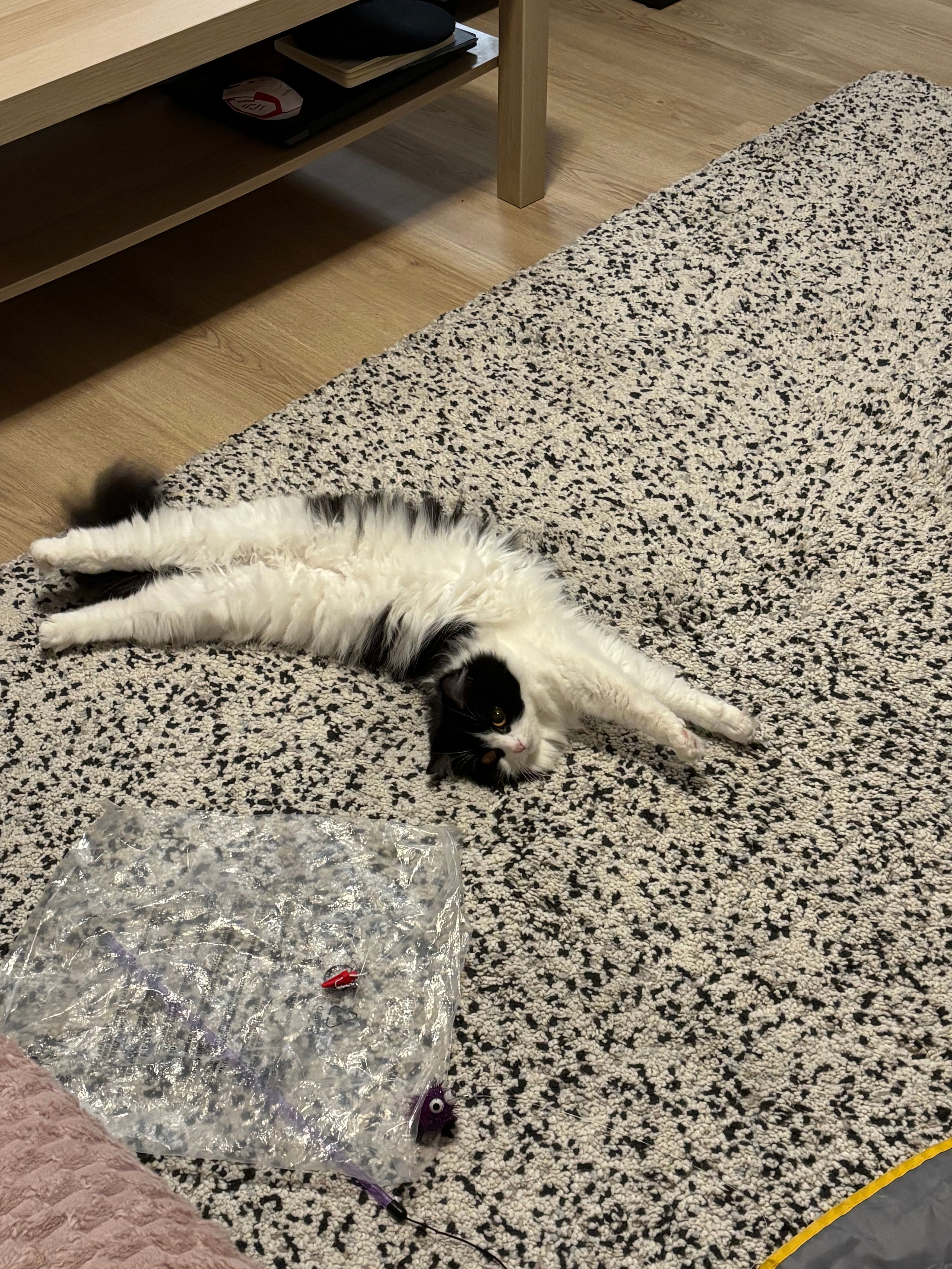 image-7