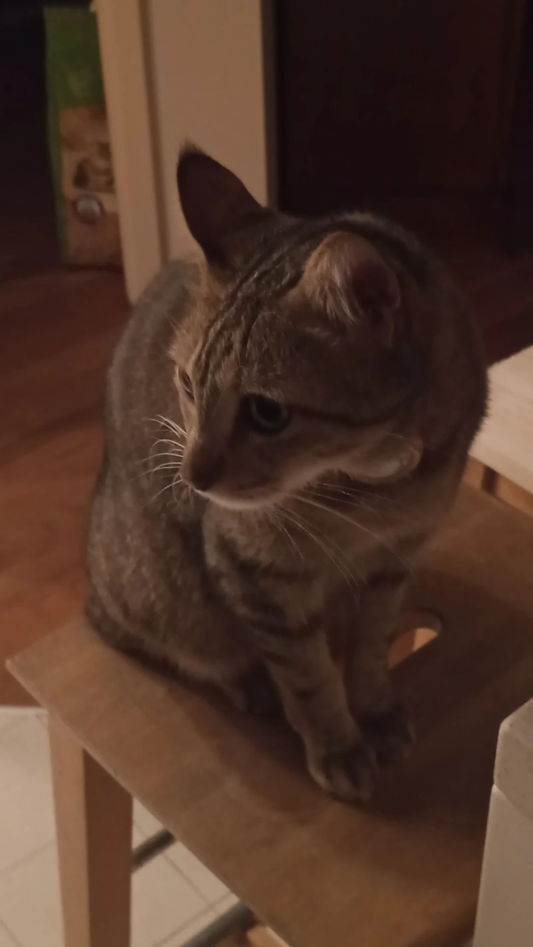 image-7
