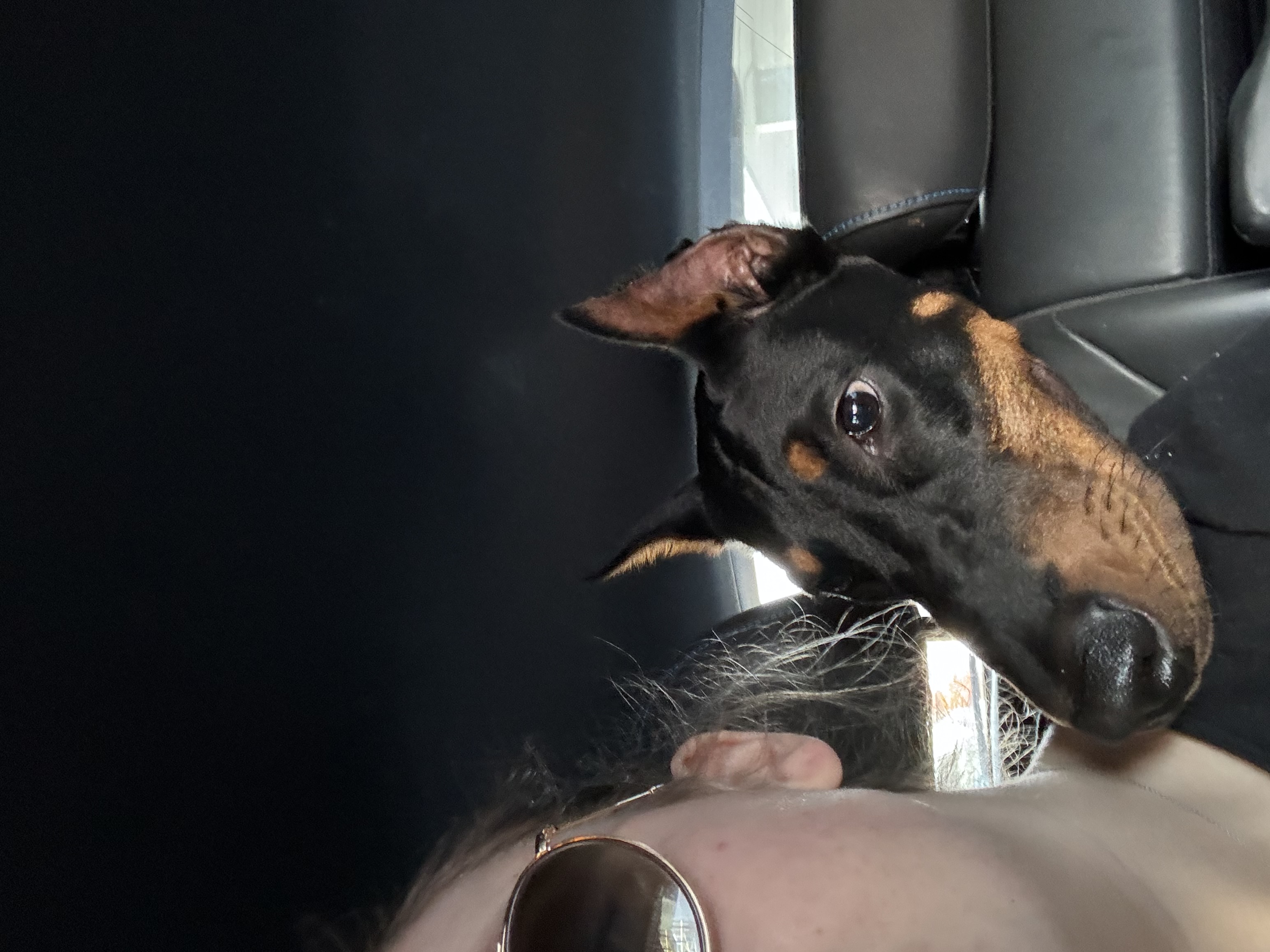 image-8