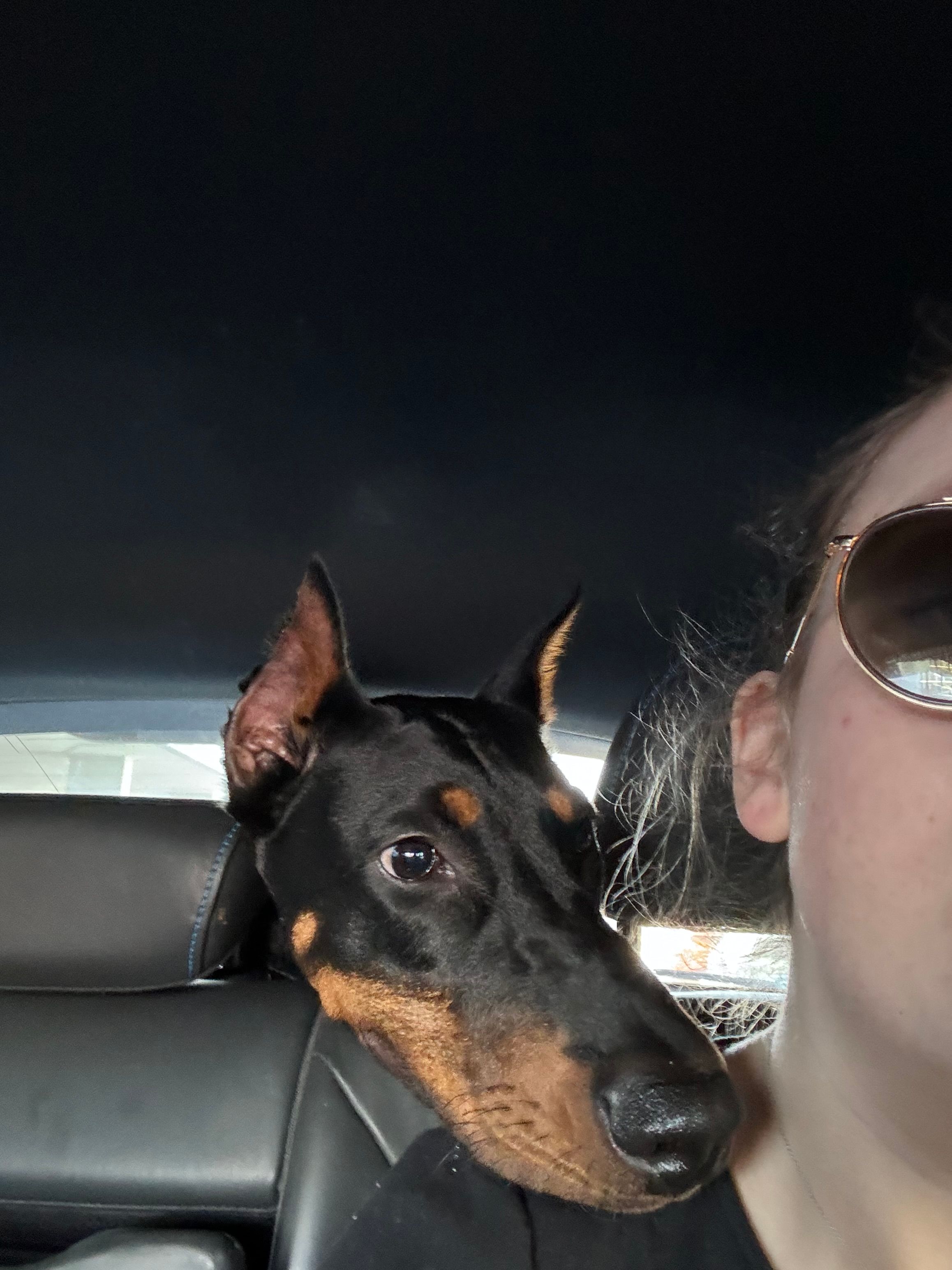 image-8