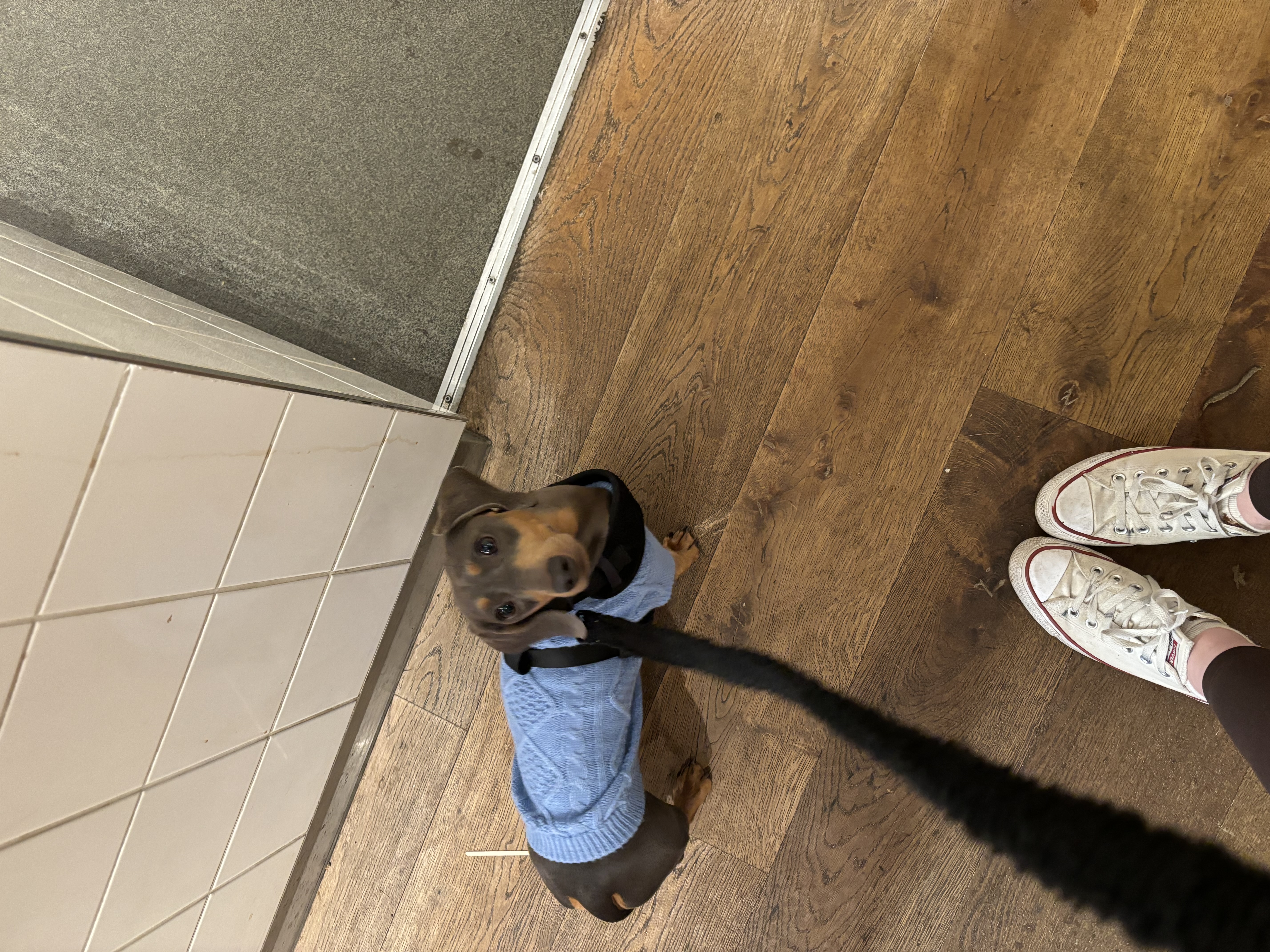 image-13
