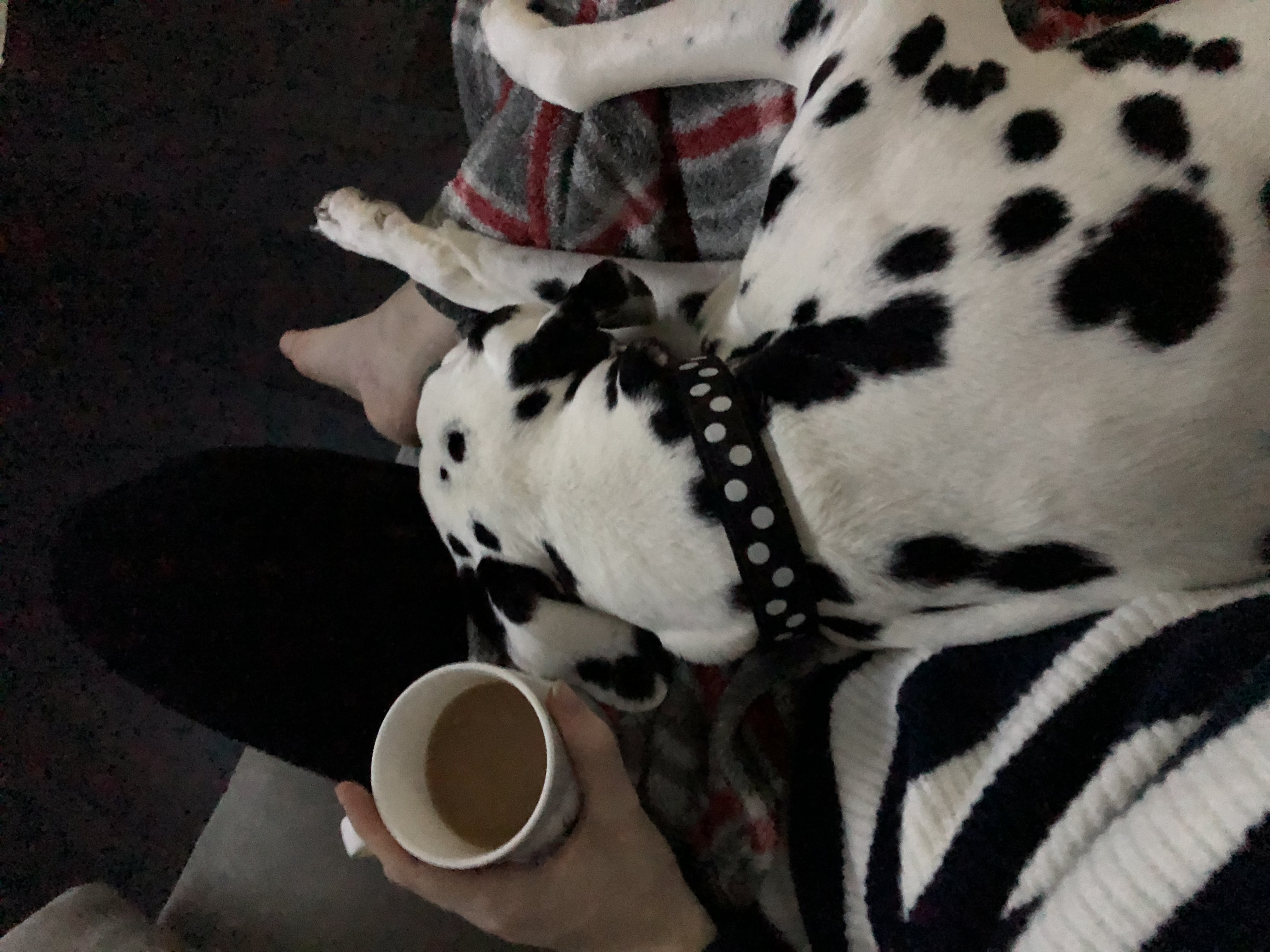 image-6
