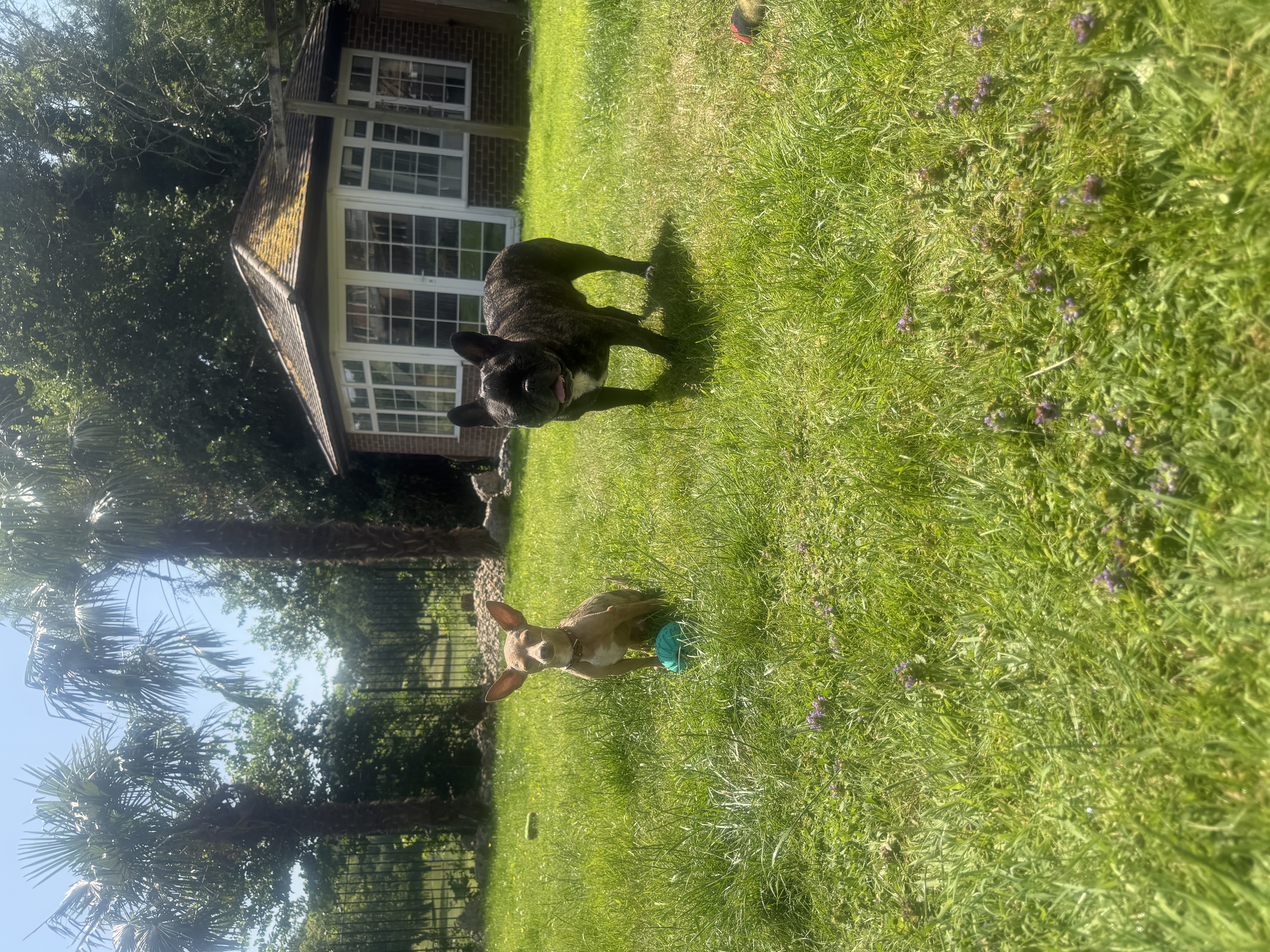 image-9