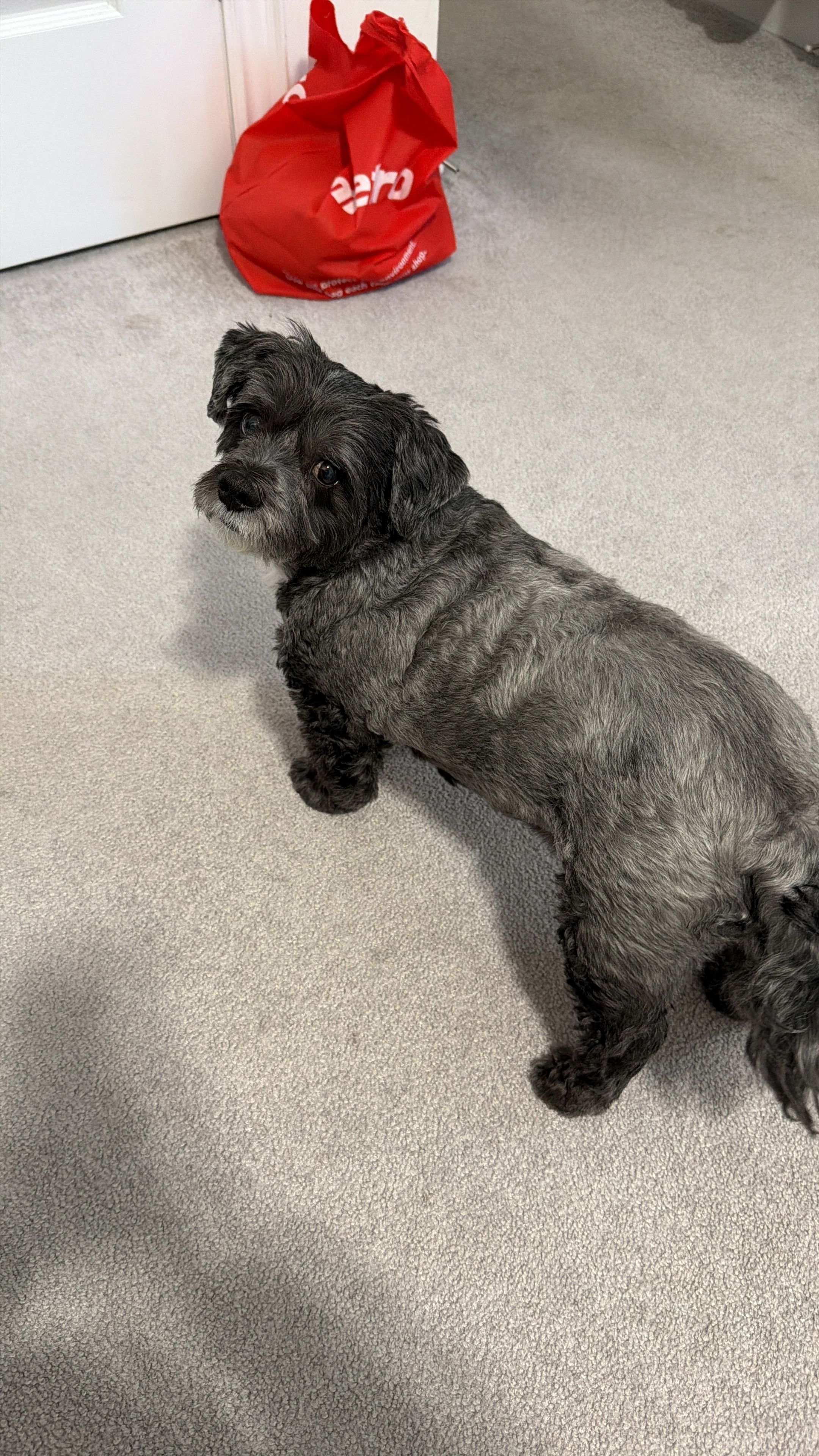 image-8