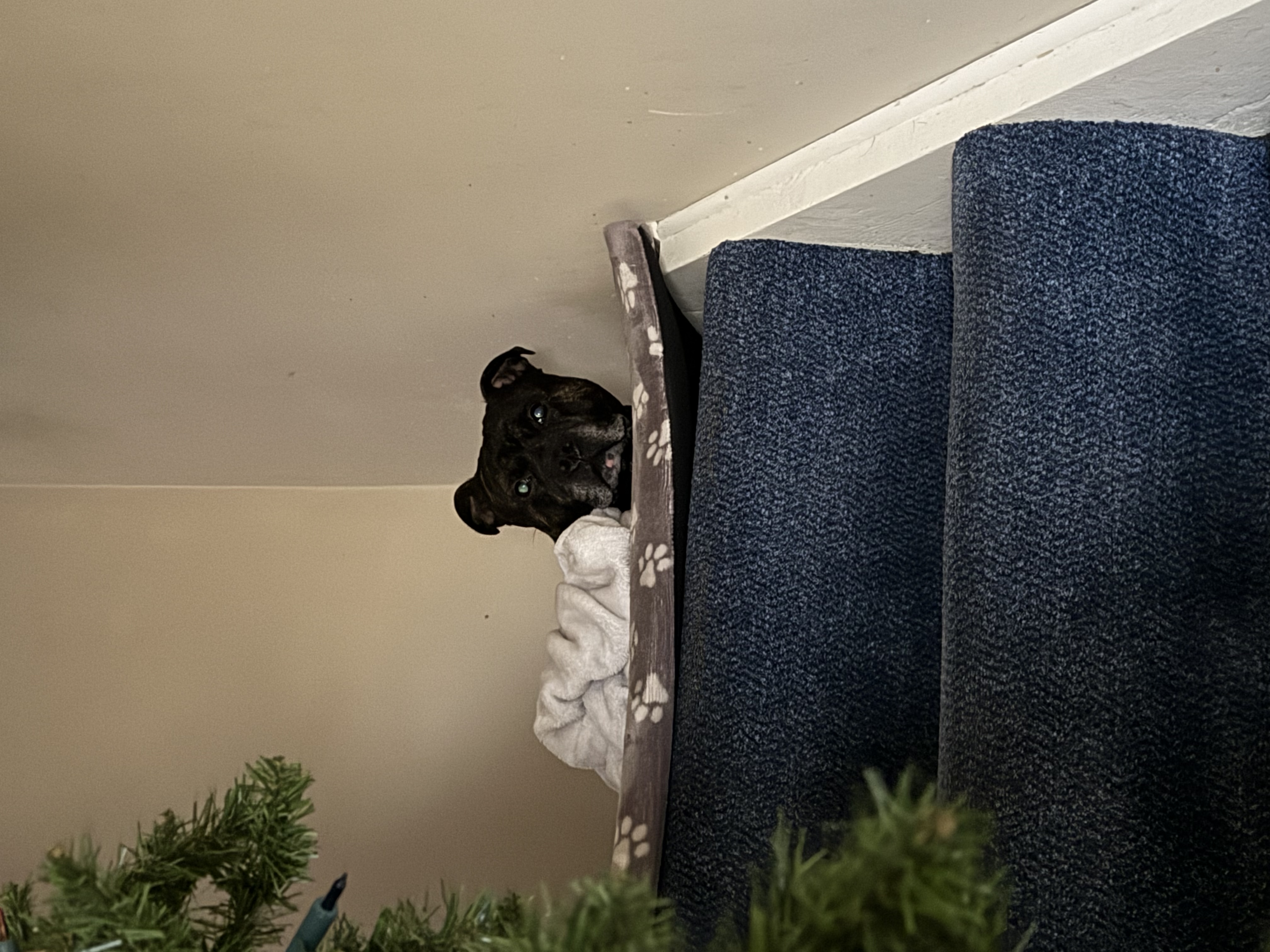 image-14