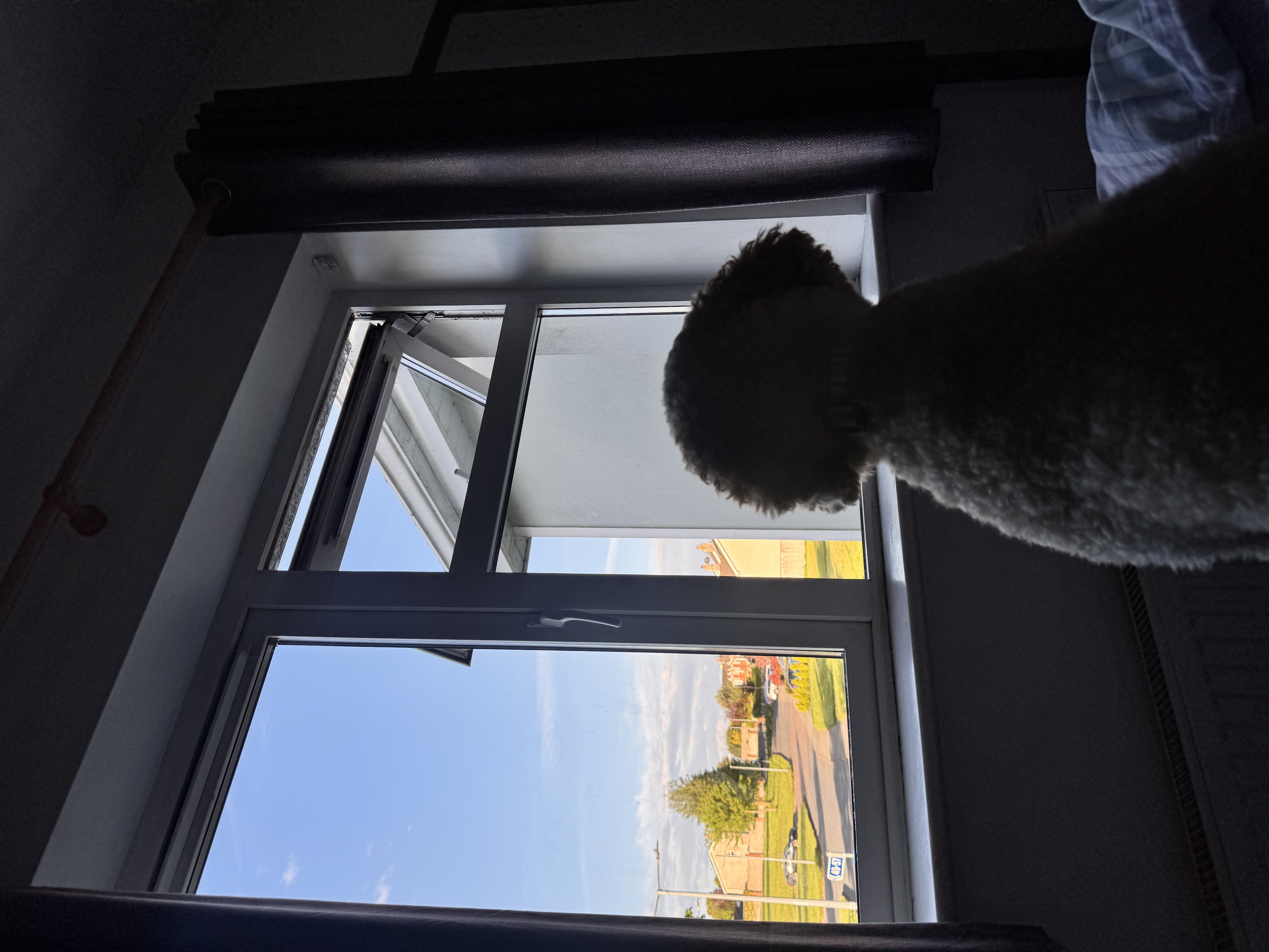 image-16