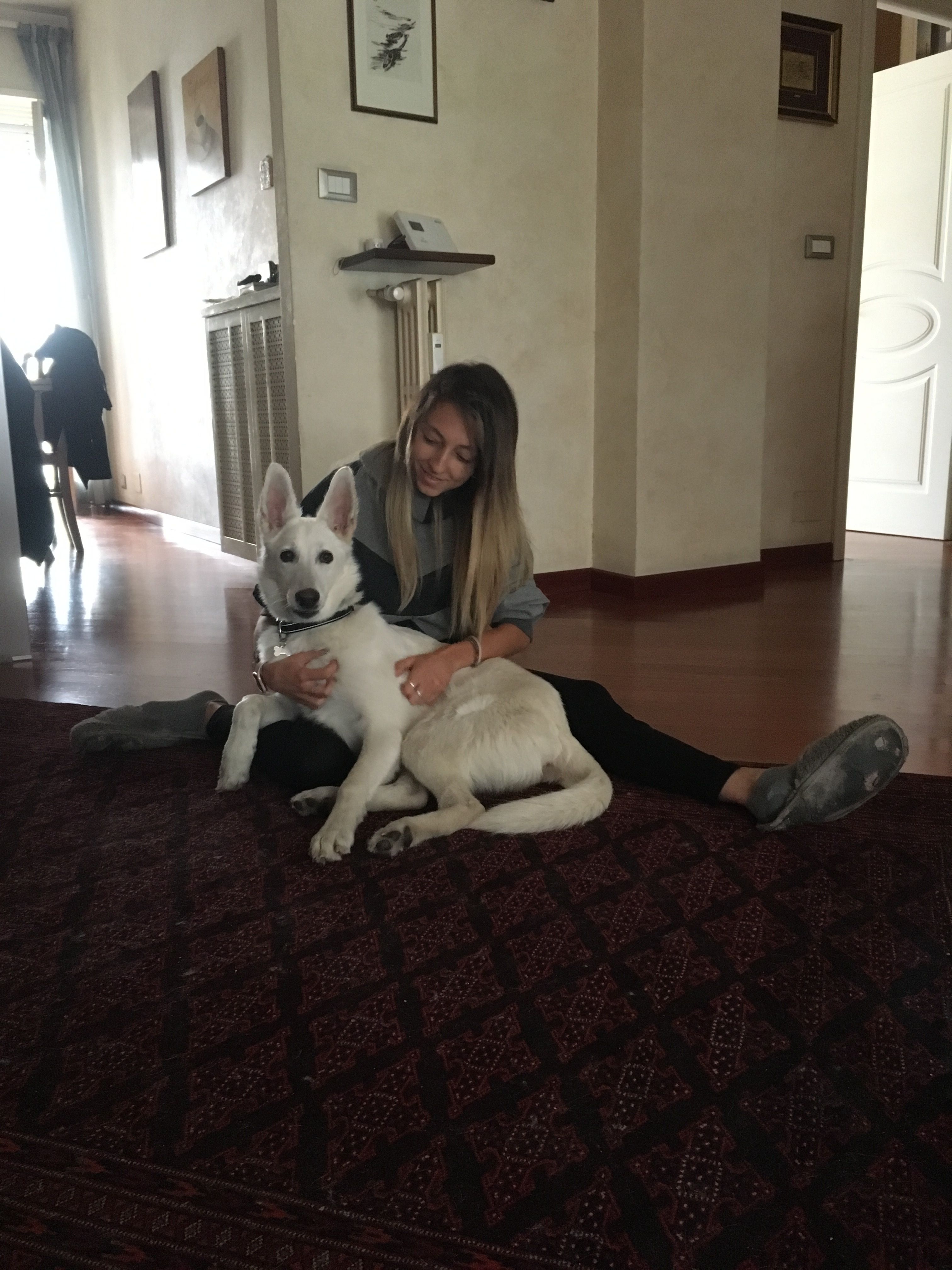 image-7