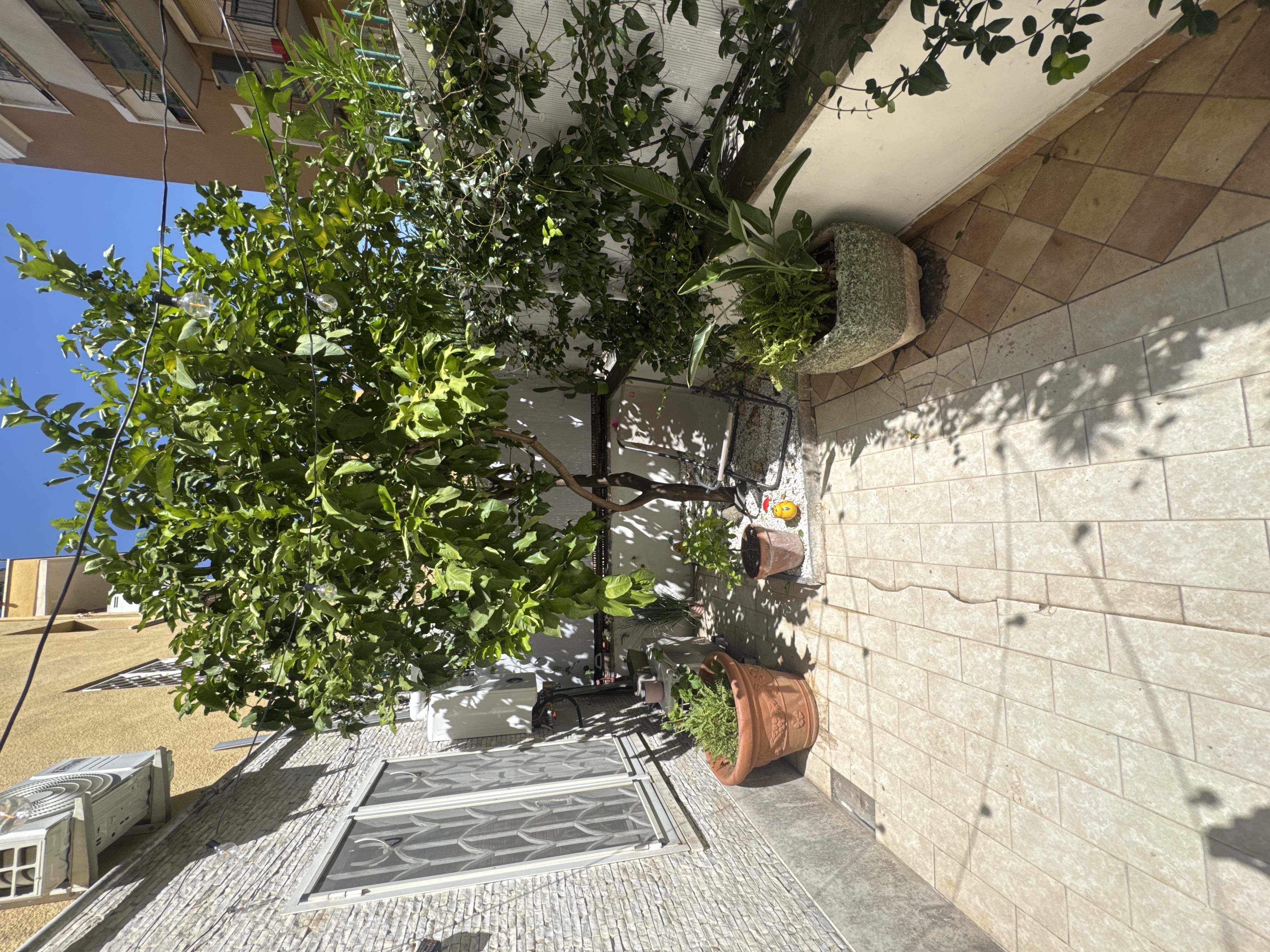 image-14