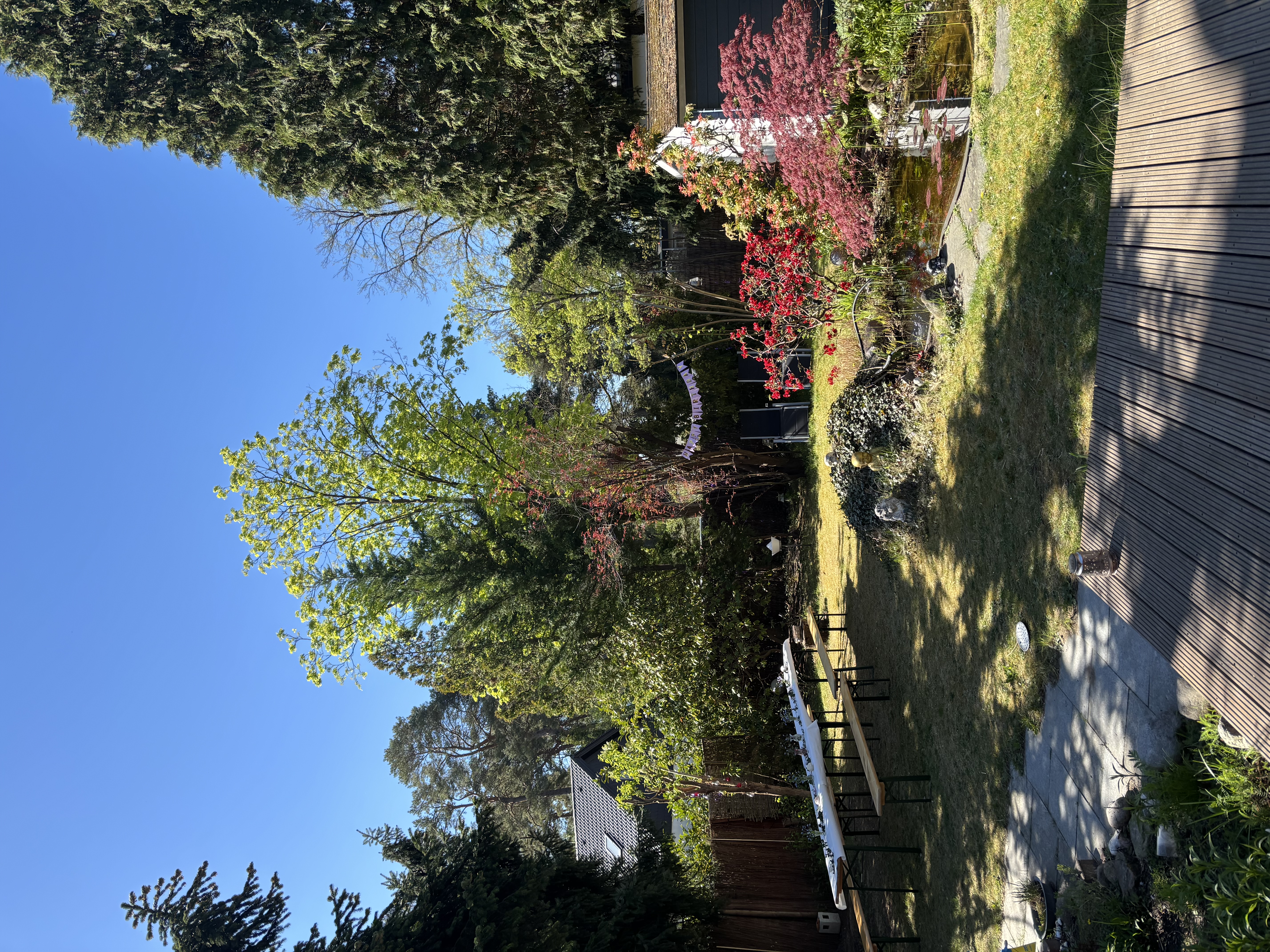 image-20