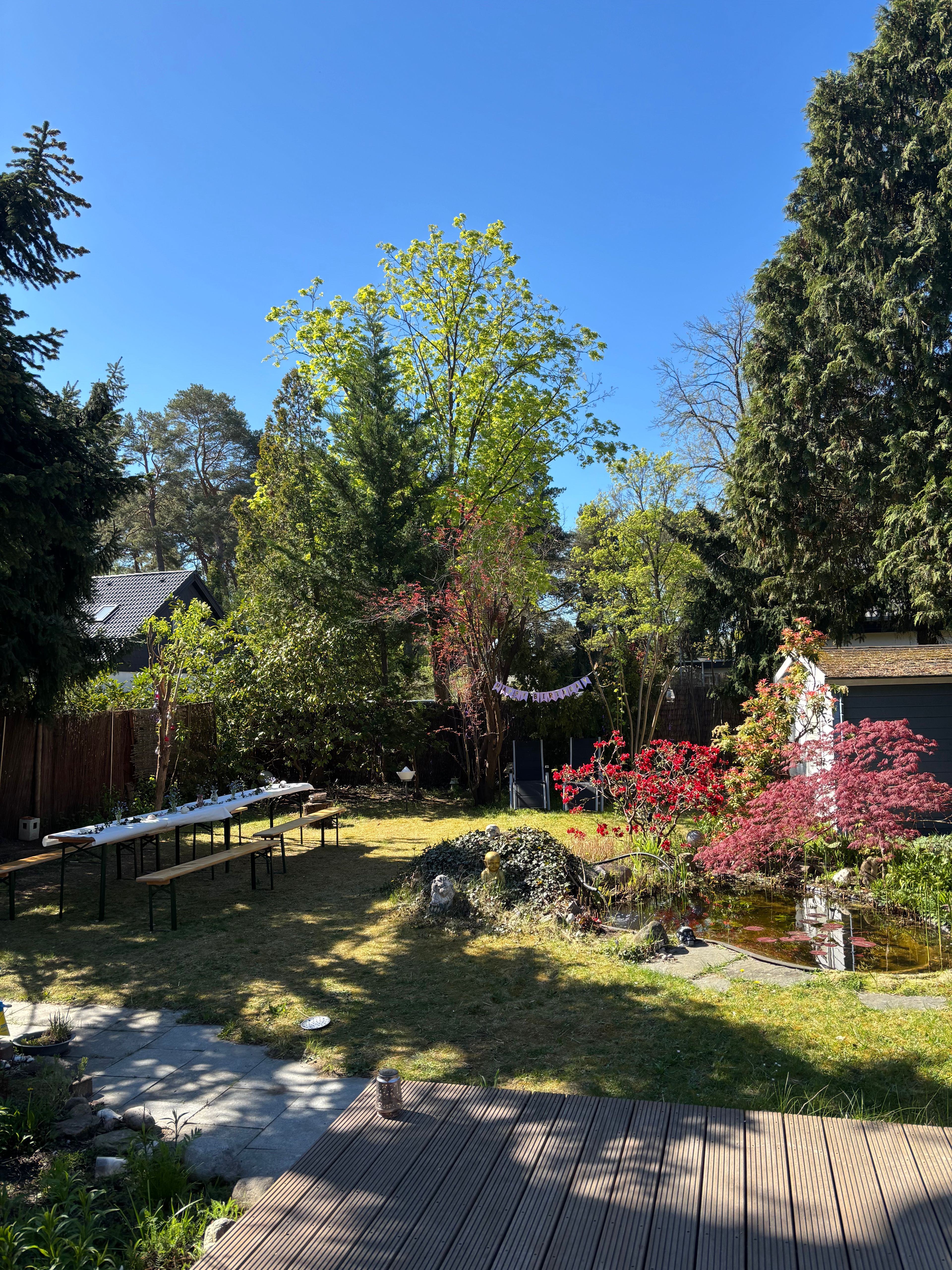 image-20