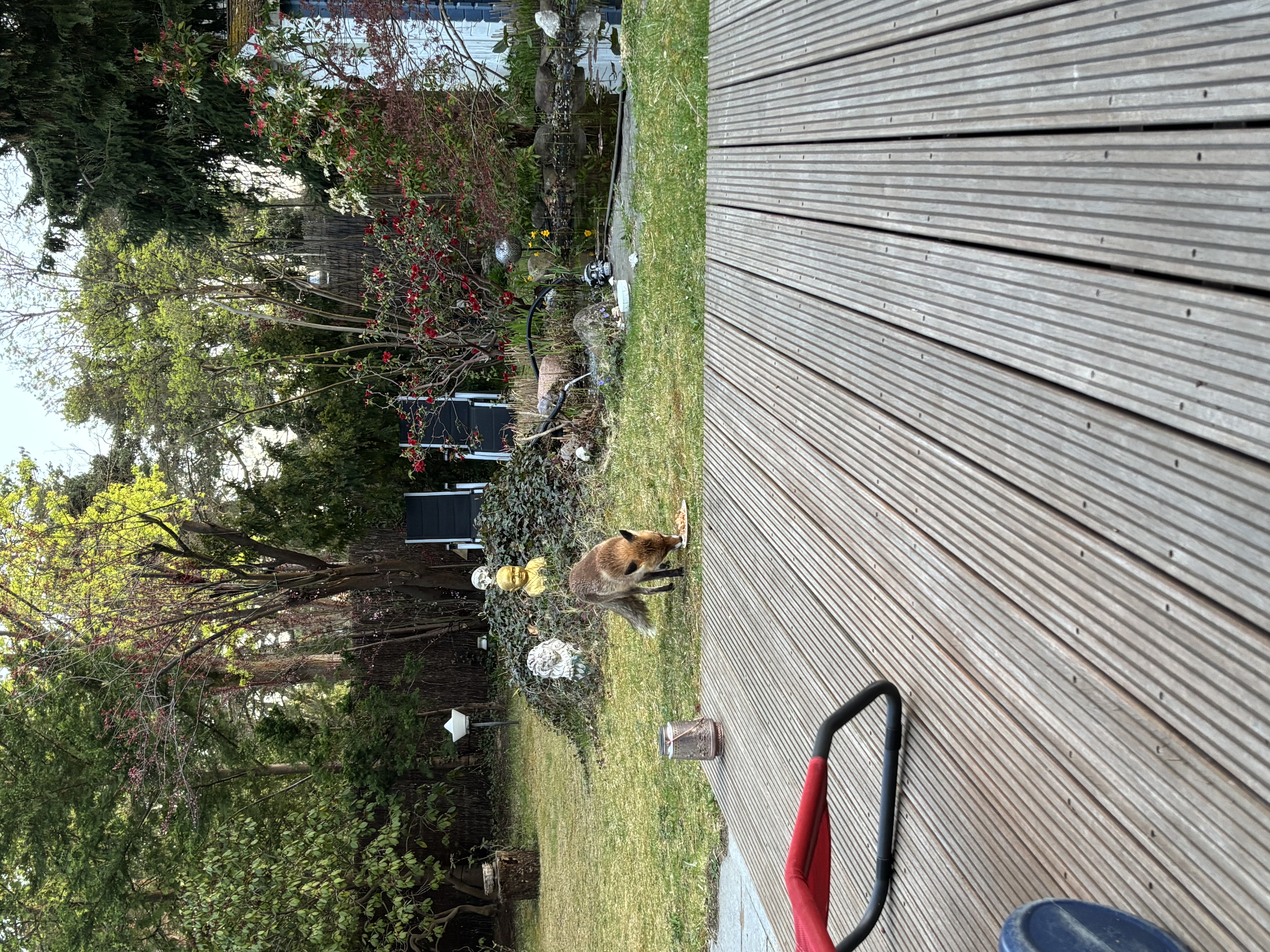 image-22
