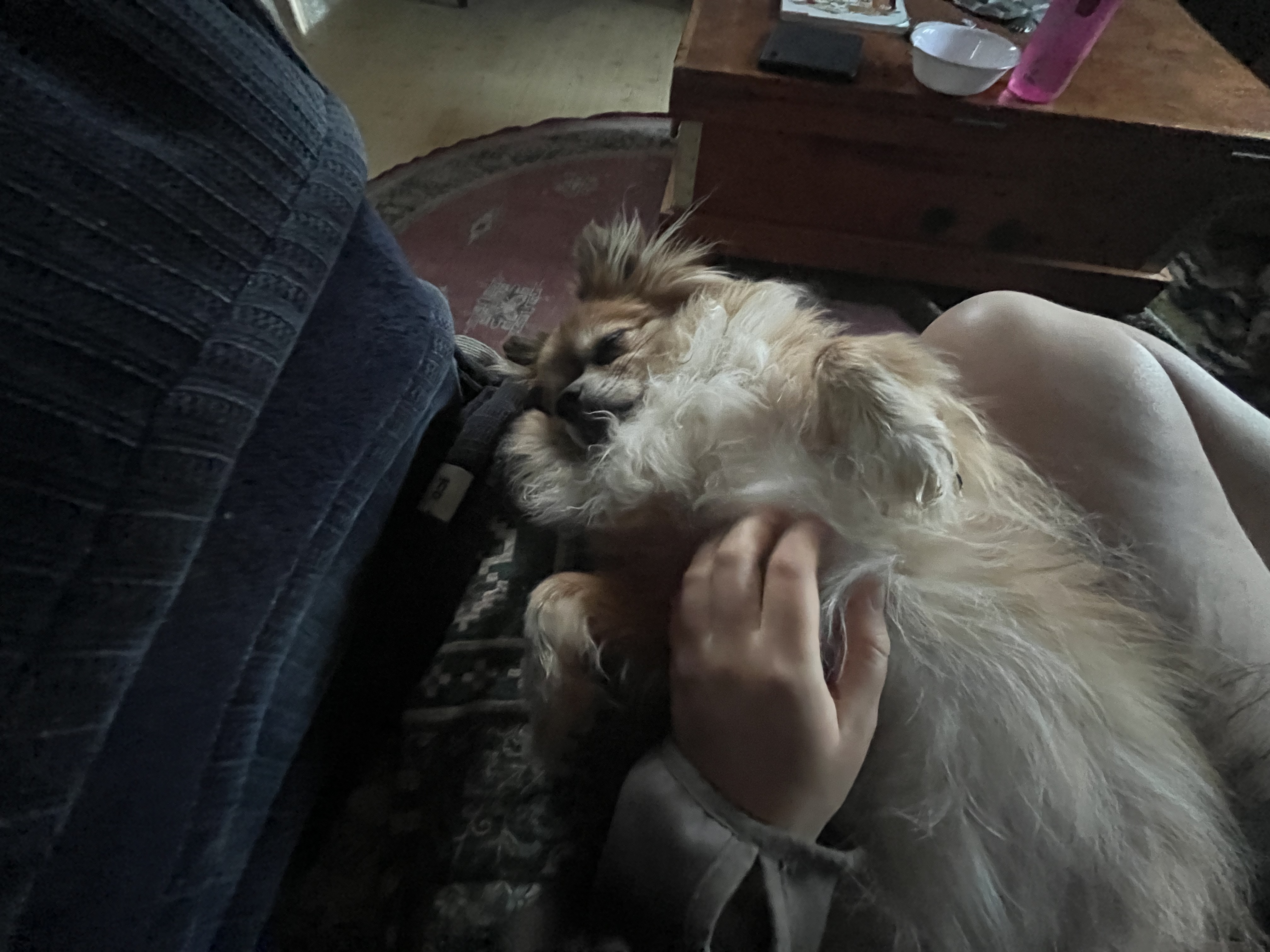 image-8