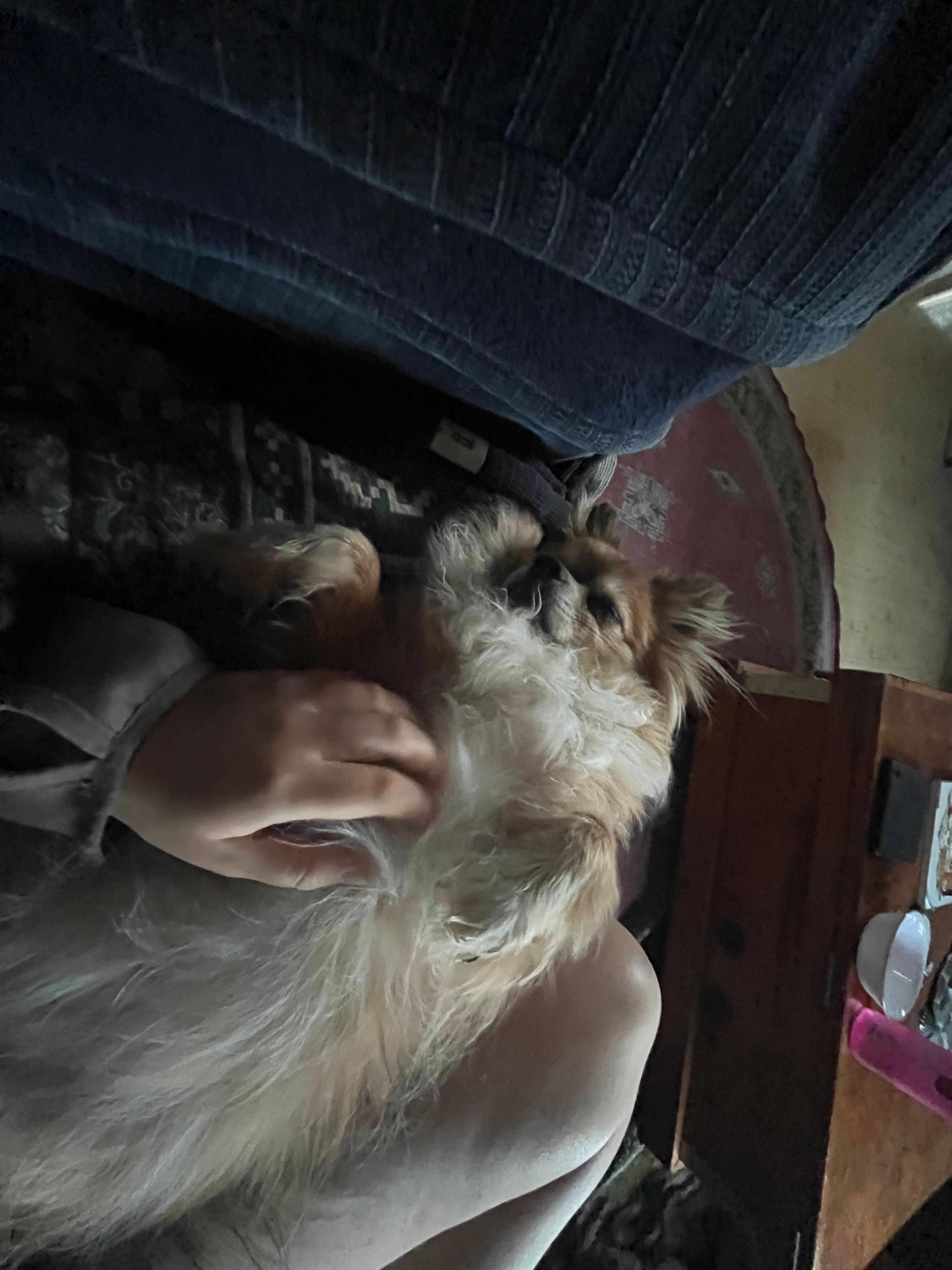 image-8